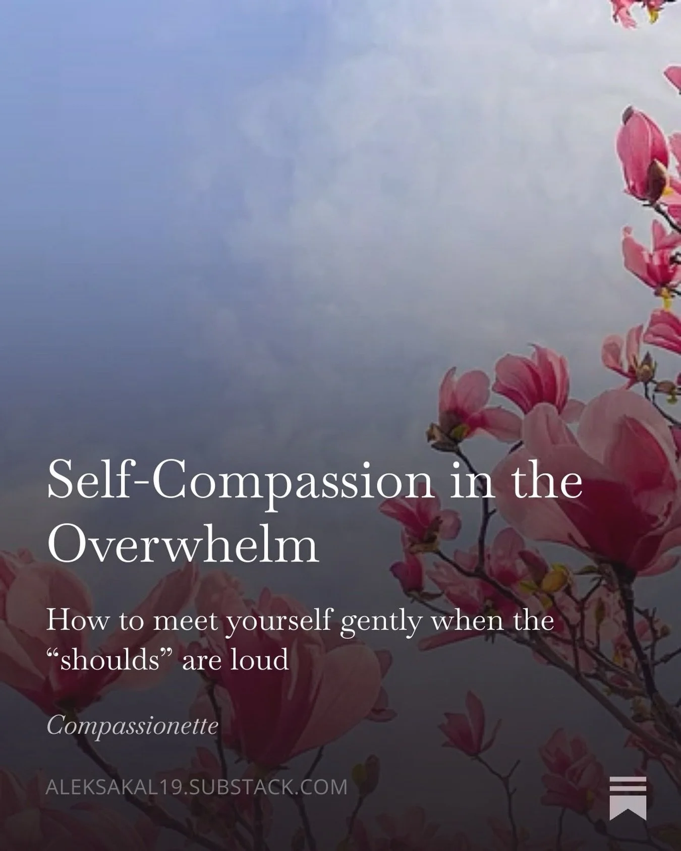 New Substack up! Lately, overwhelm has been loud. If you&rsquo;ve felt like not everything is wrong, but everything feels like a lot - and the &ldquo;shoulds&rdquo; have been weighing on you - I wrote about it through a self-compassion lens. I hope i