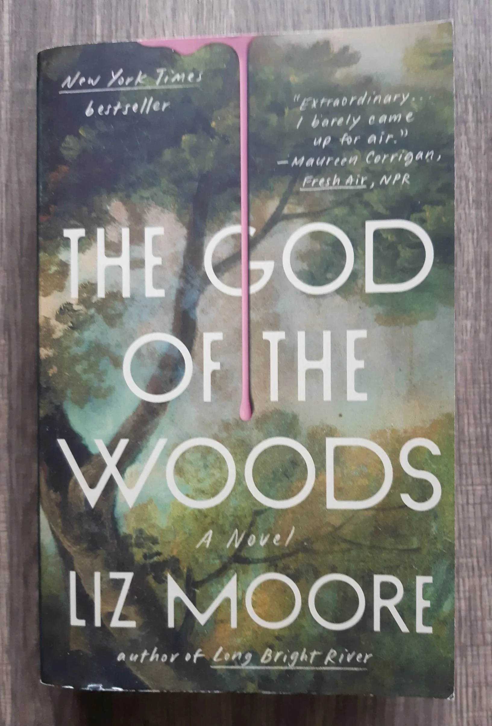 The God of the Woods by Liz Moore