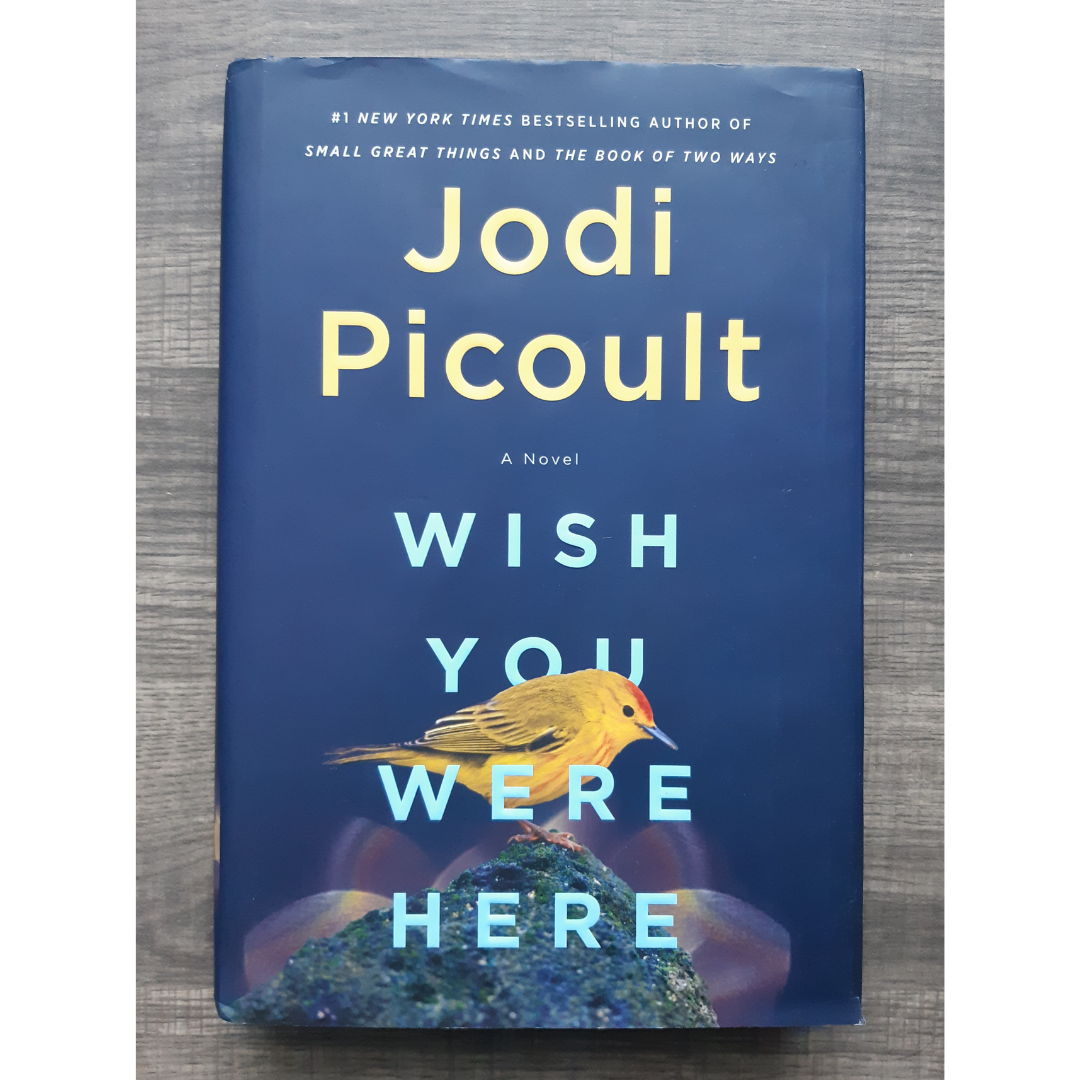 Wish You Were Here by Jodi Picoult