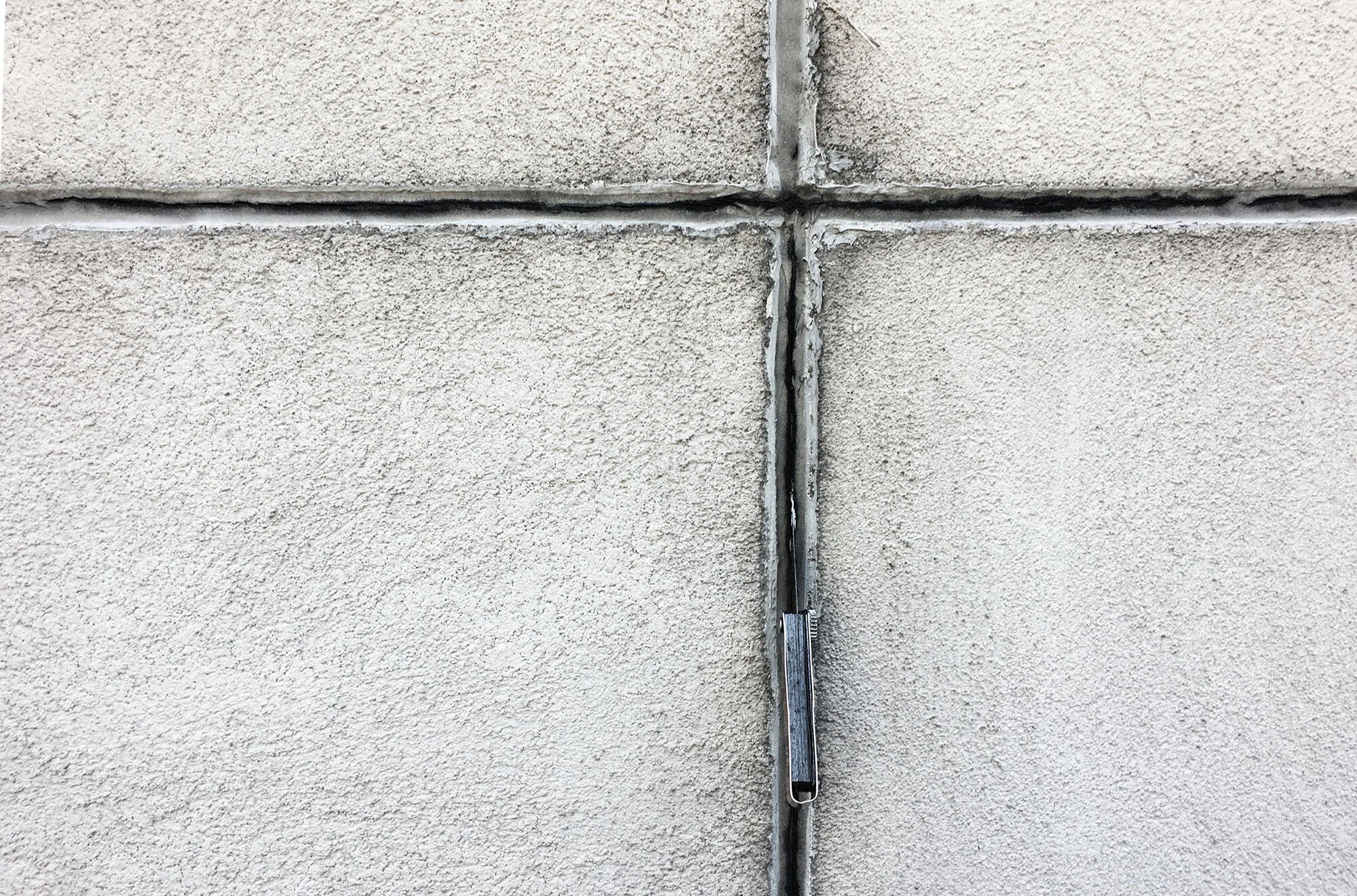 IMG_3410 rev BW2.jpg