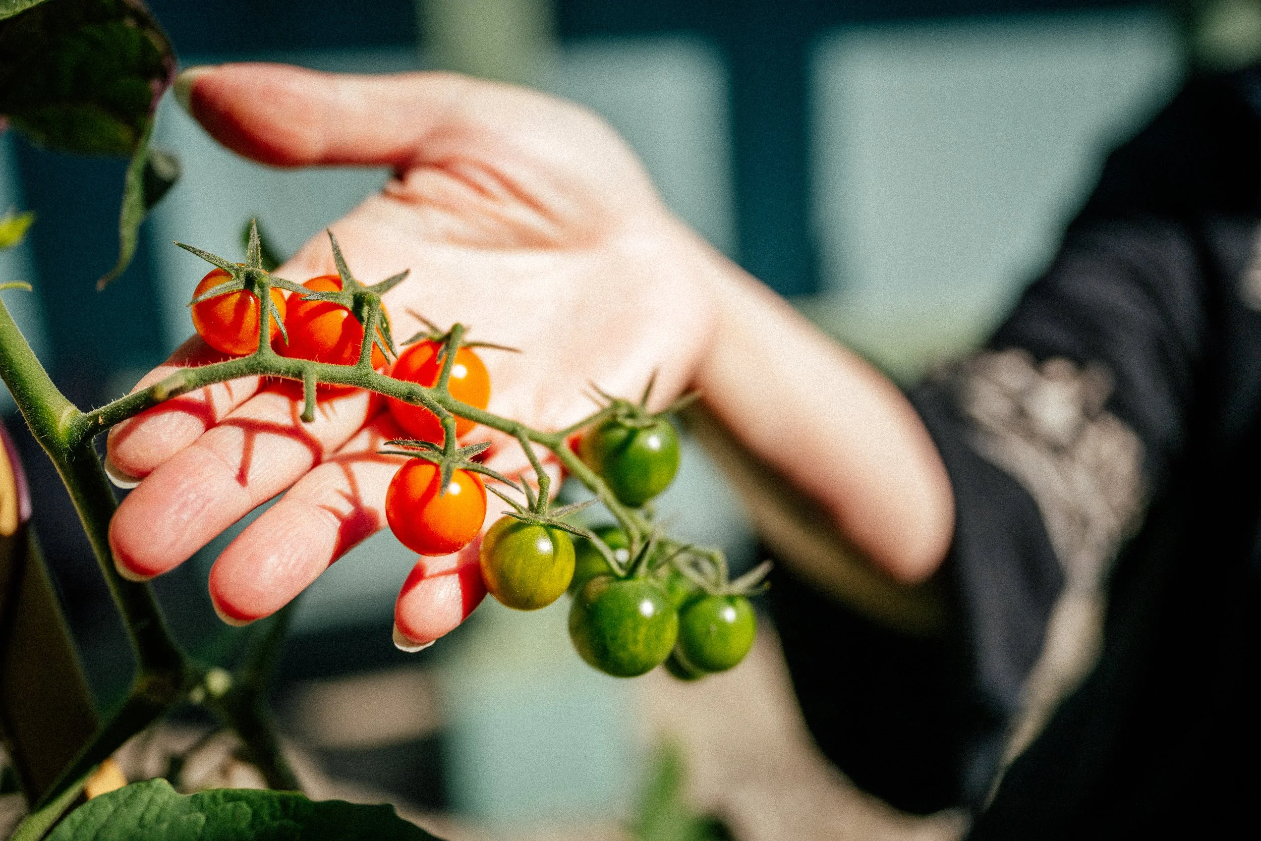What is Sustainable Farming and Agriculture?