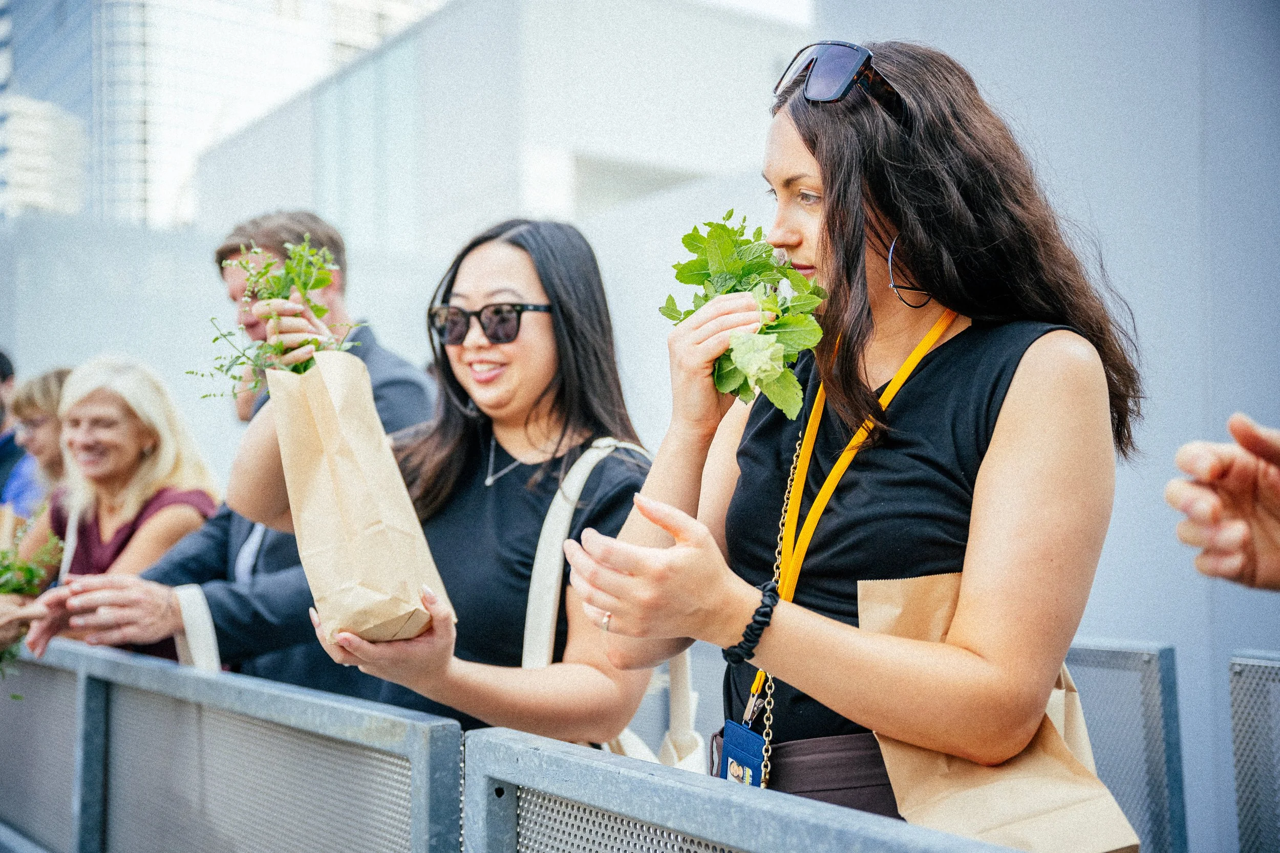 how to not kill your office plants