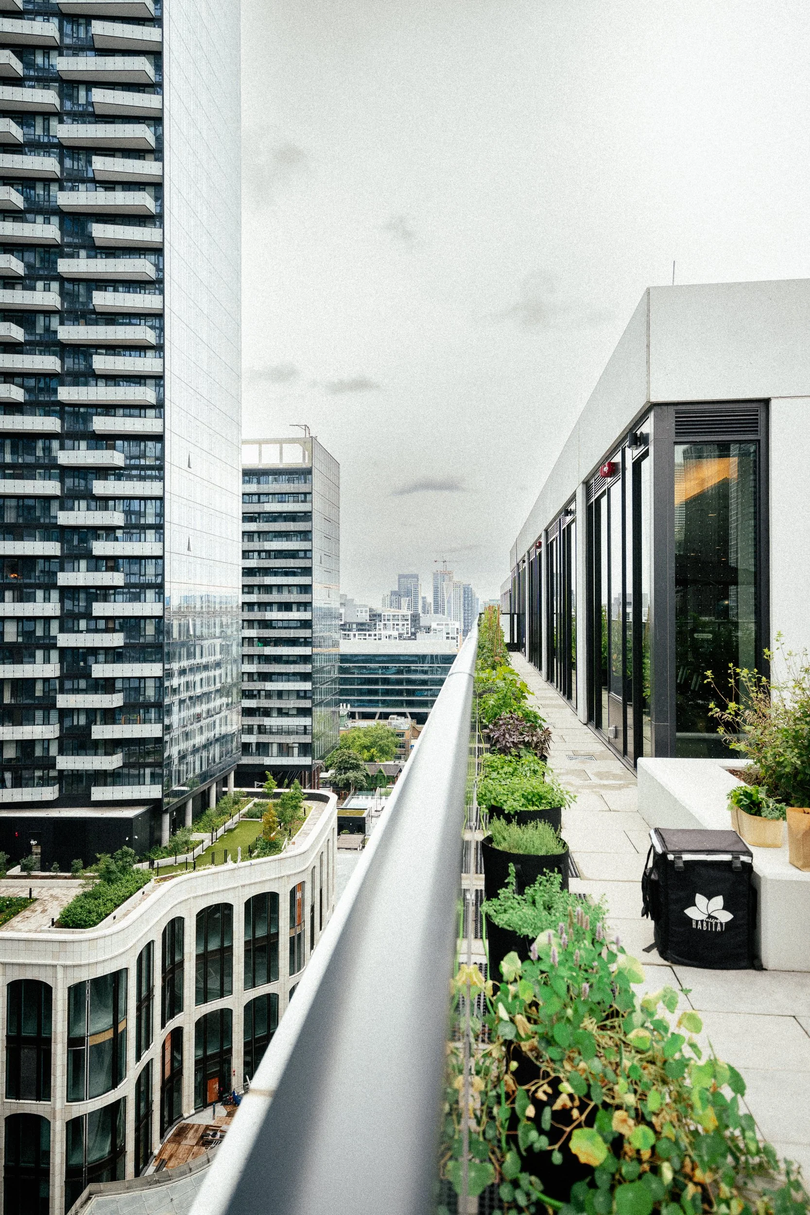 Benefits of Biophilic Design in Offices