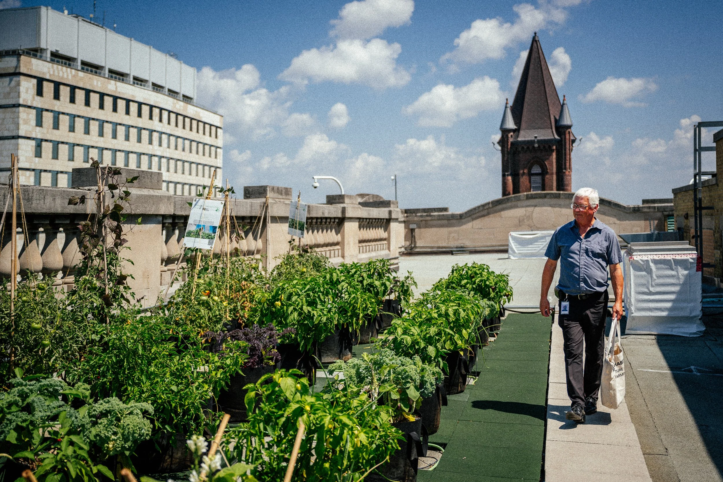 Maximizar el valor y la sostenibilidad