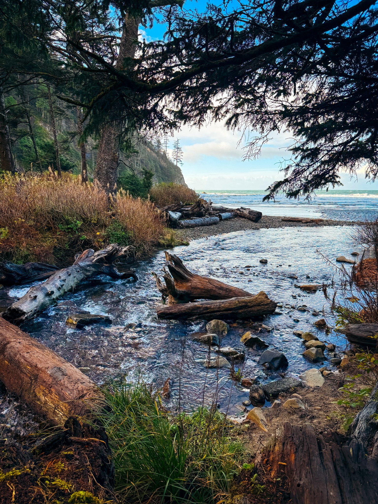 Trailhead Track