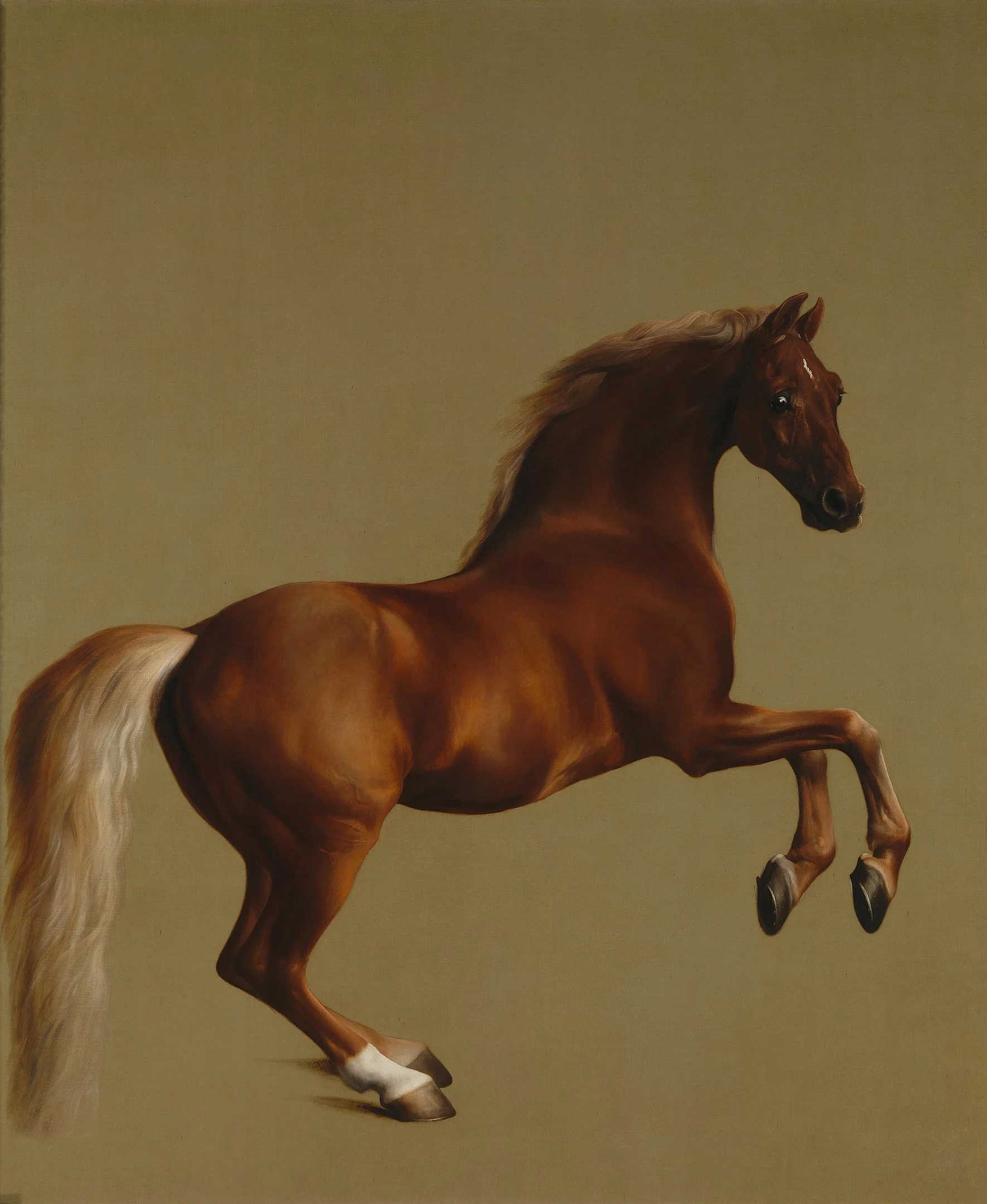 A realistic painting of a brown horse with a flowing light-colored mane and tail, rearing with one front leg raised against a plain, muted background.