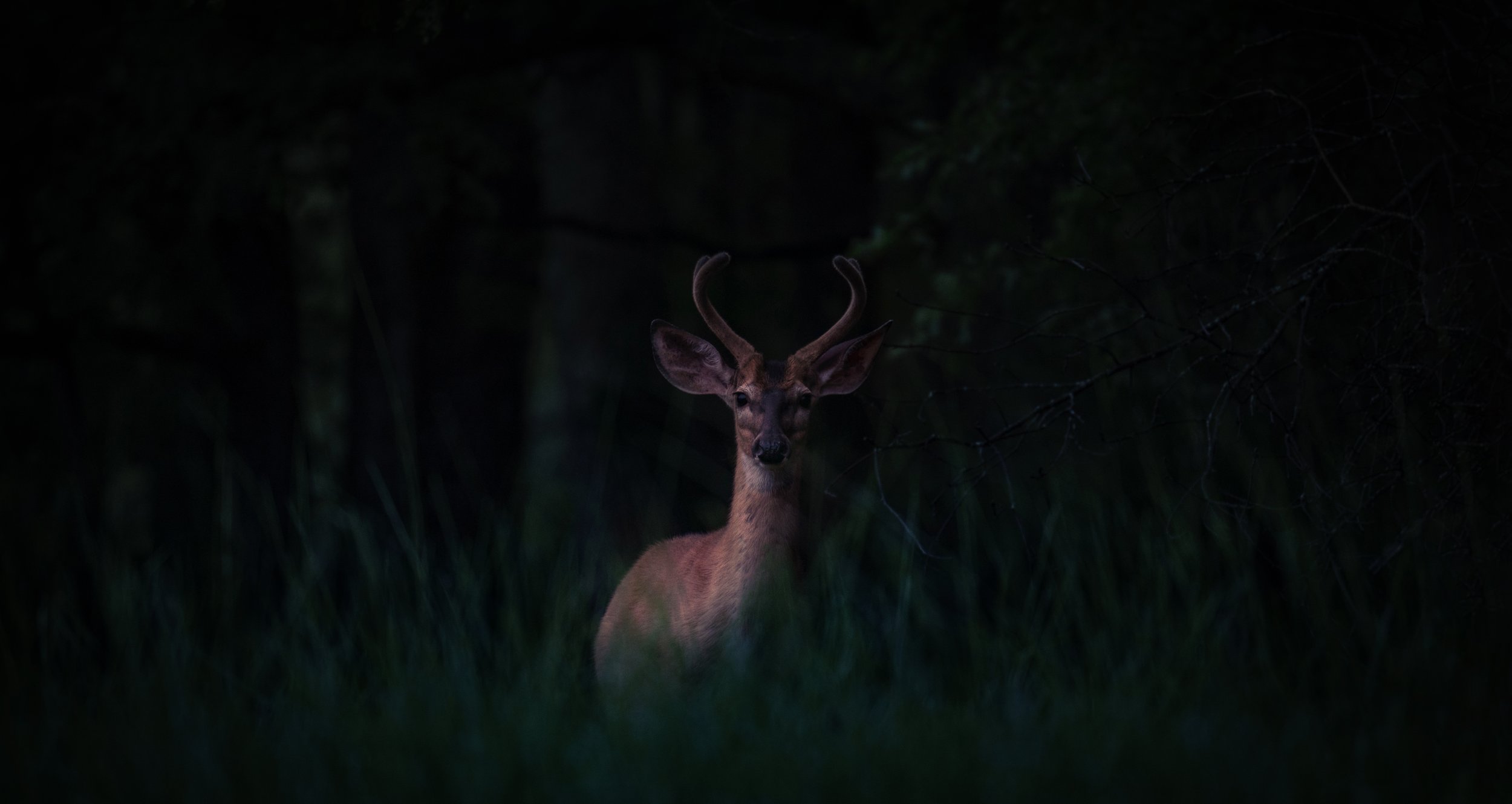 Not Hiding — Just Holding On