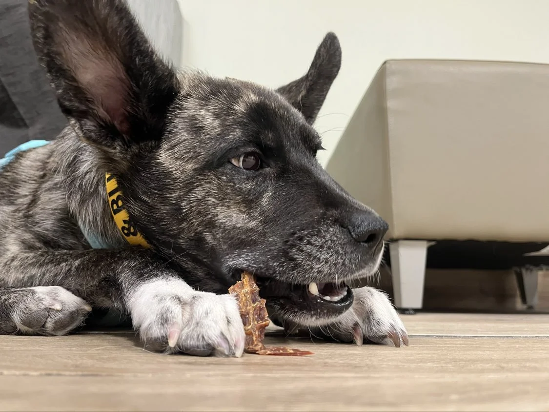 Tough eating jerky