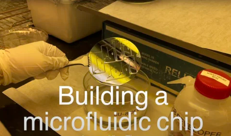 World's Smallest Microfluidic Chip for Cell Sorting