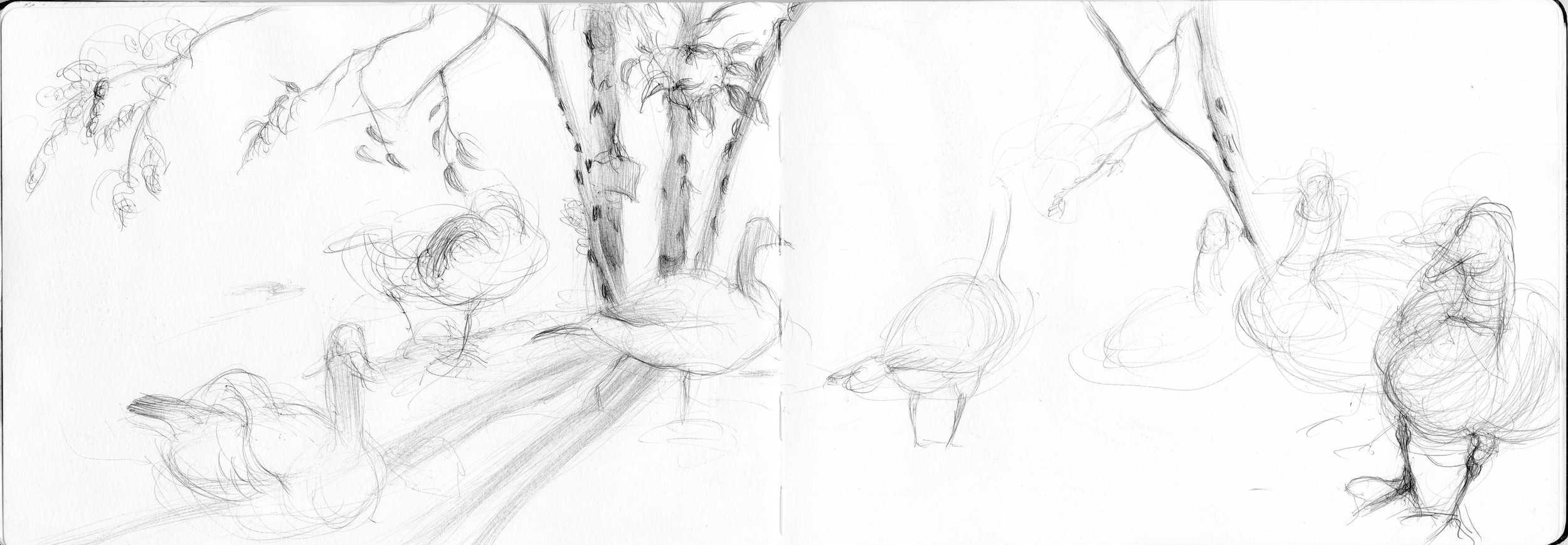 Screenshot 2025-08-06 at 8.05.43 PM.png