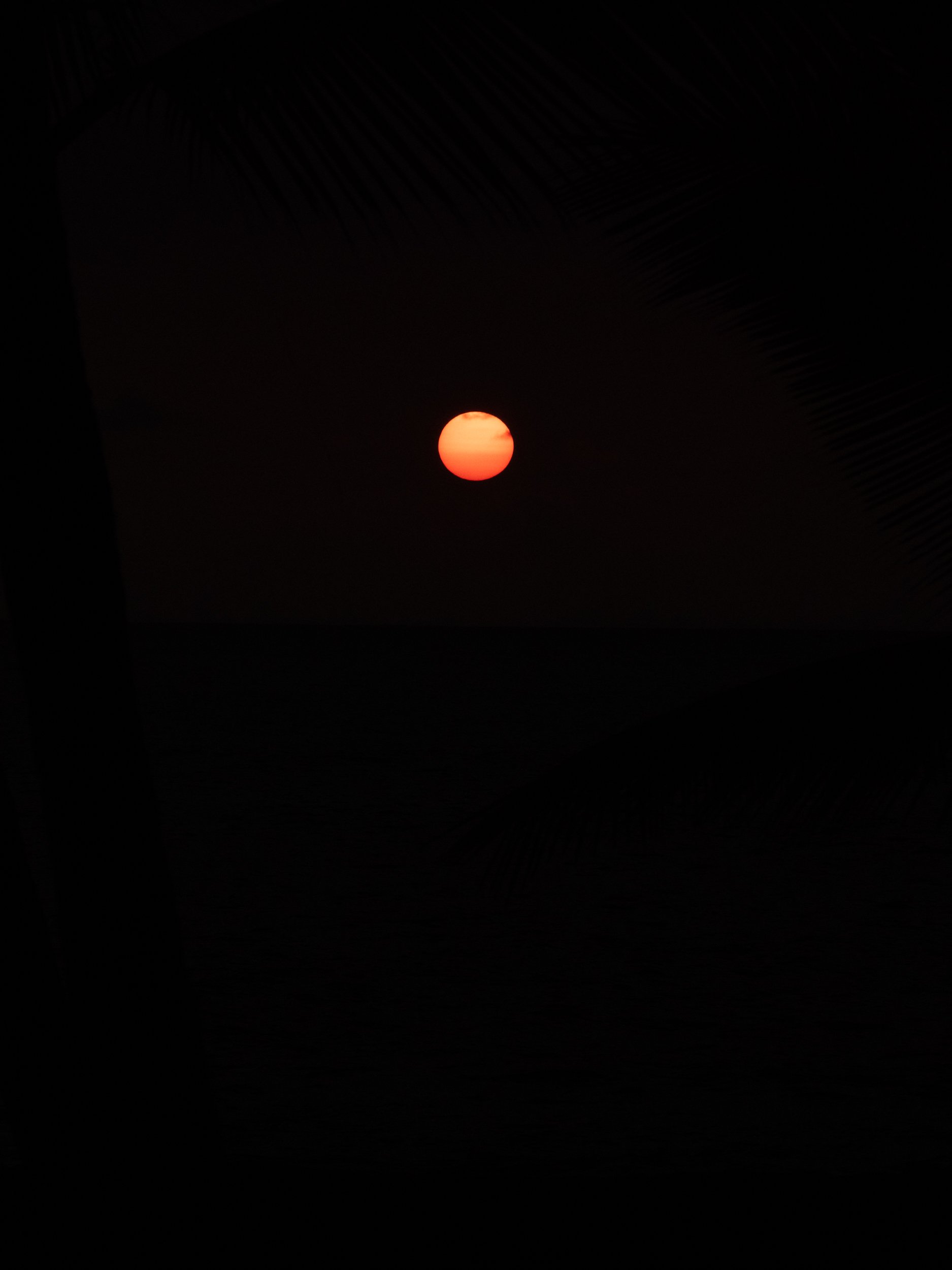 L1030136.jpg