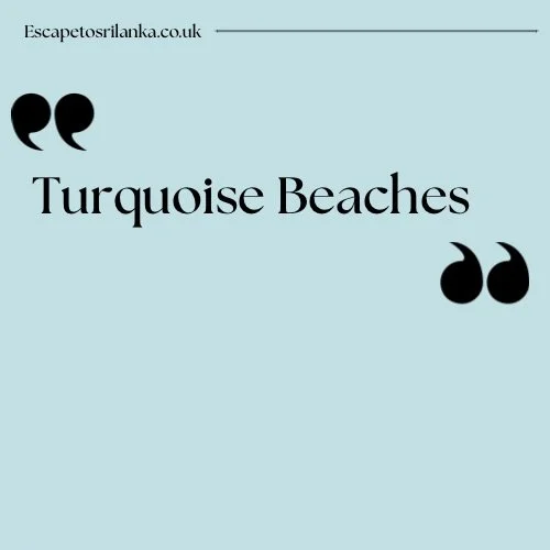 Turquoise waters, soft sands, and endless summer vibes 🌊✨
Sri Lanka&rsquo;s beaches are calling &mdash; and your perfect itinerary starts here.
📩 Contact us today to create your own tailor-made Sri Lanka escape.
#escapetosrilanka #srilankaholidays 