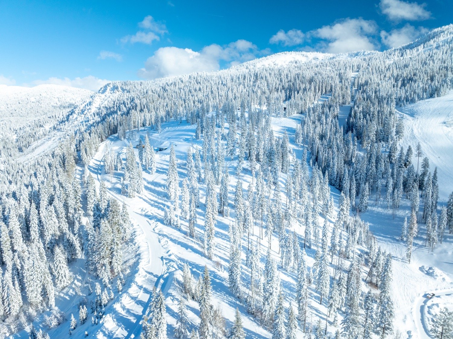 DJI_0616.jpg