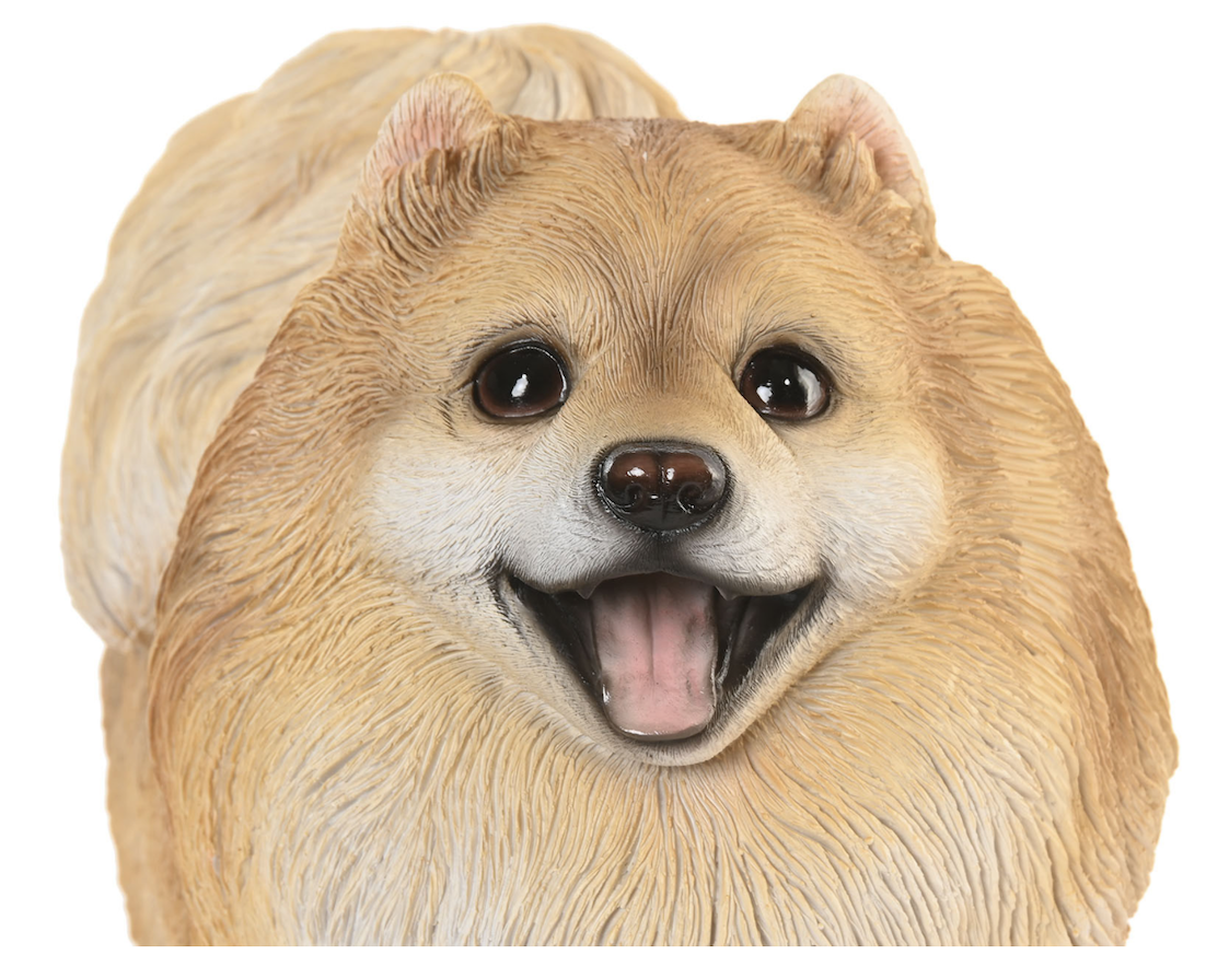kjn.png