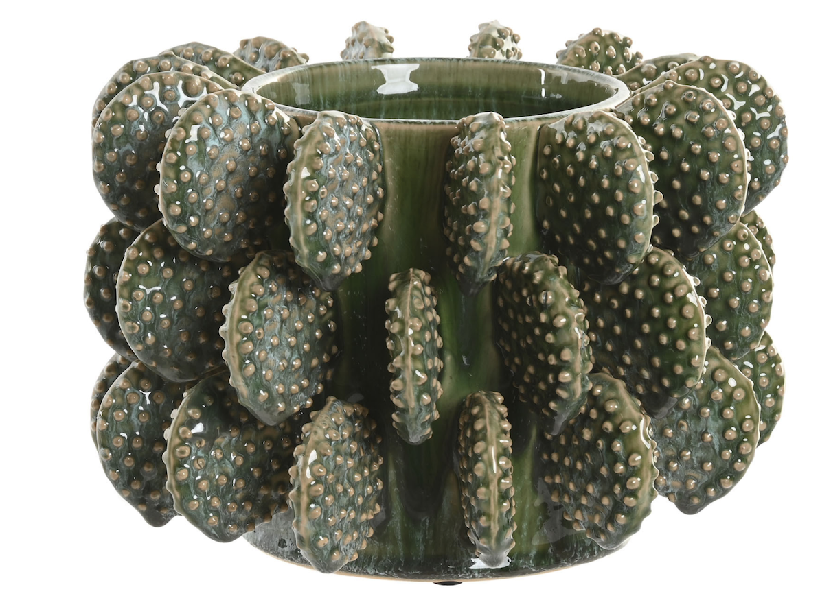 JARRON CACTUS
