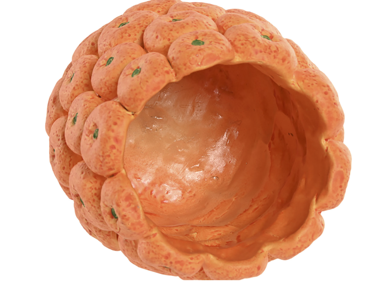 KJN.png