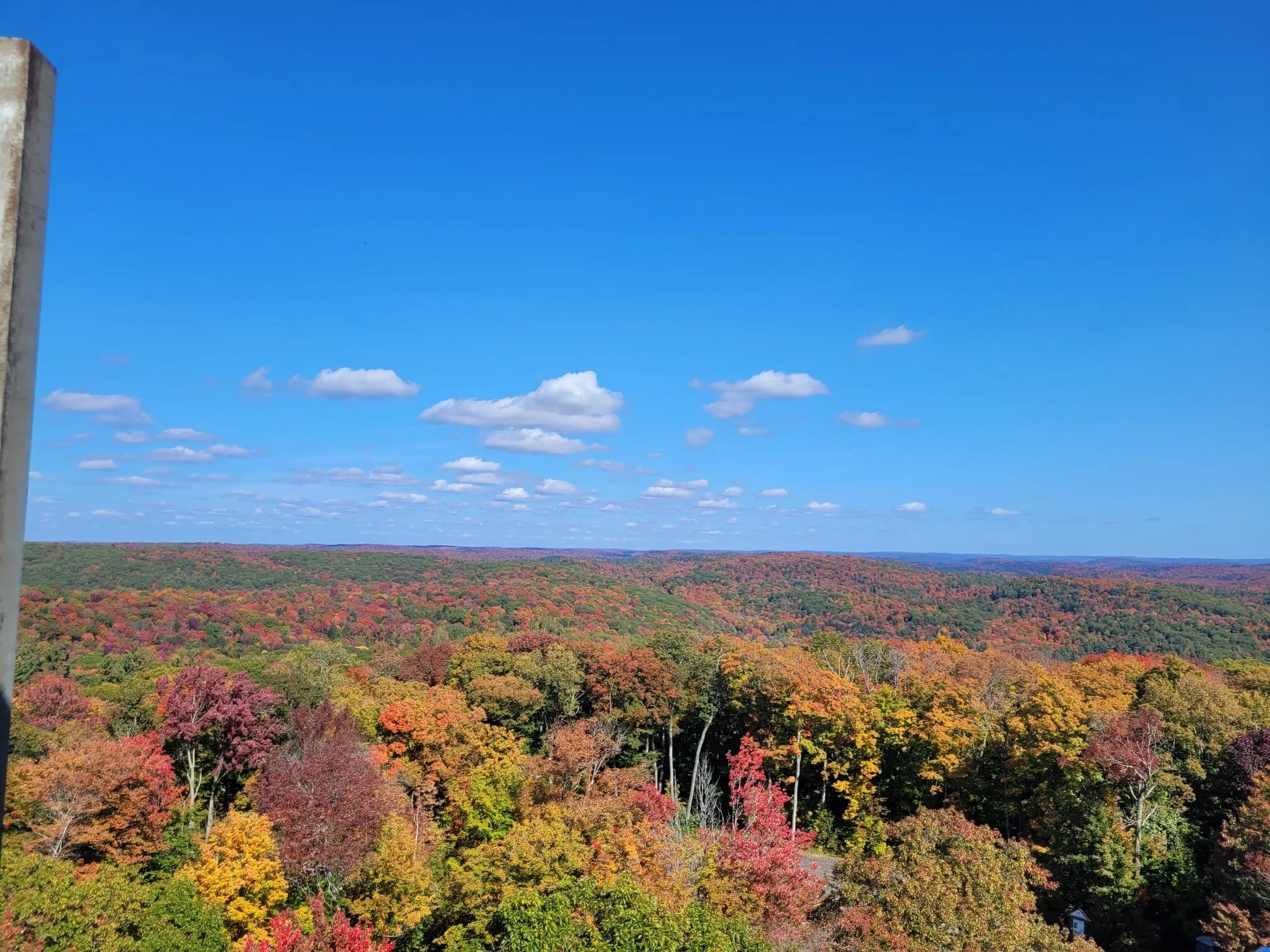 Colourful picture of fall in Muskoka Ontario that depicts where LumiLedger bookkeeping is located