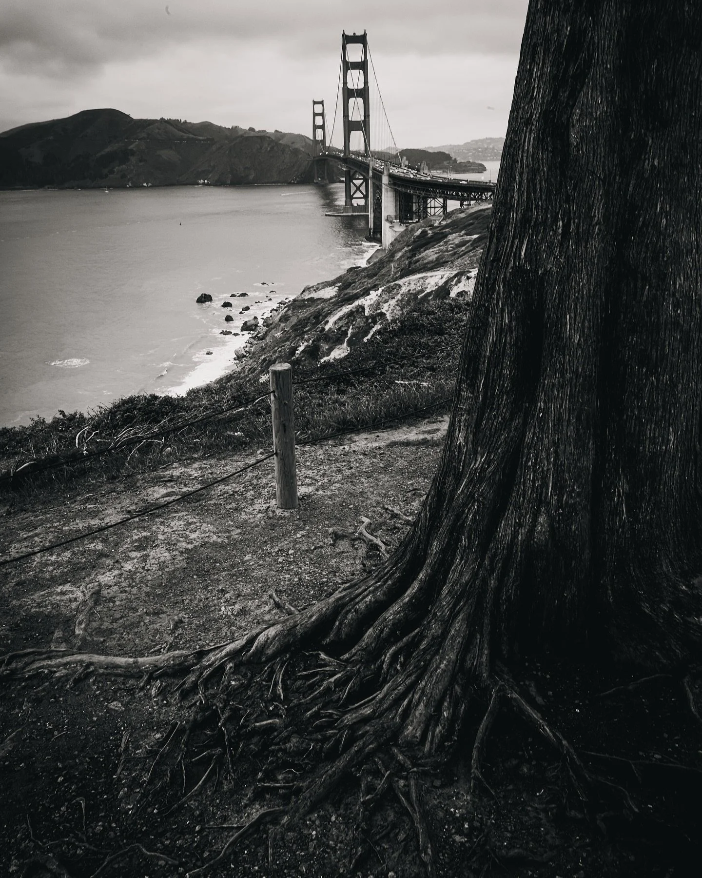 SF. |  @leica_camera #summilux28