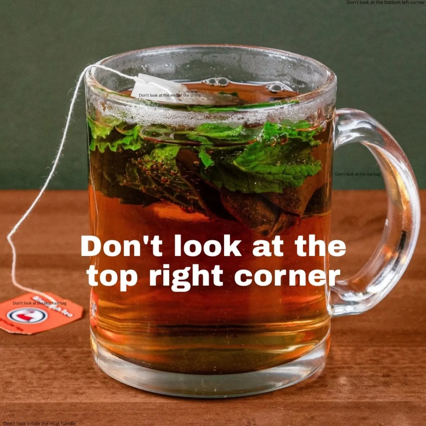 Do look at the mint shai 😋

#chicago #palestinian #tea #memes #dontlookatthepinnedcomment