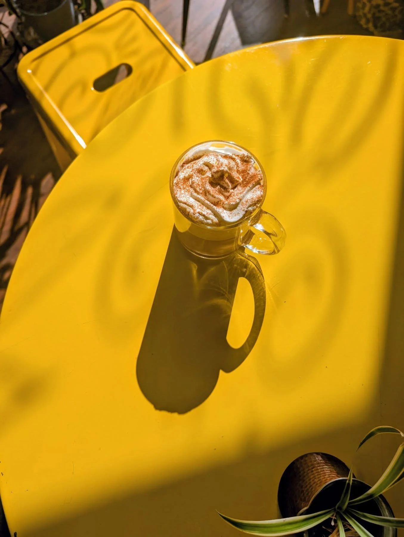 Nothing like a pumpkin cardamom latte to start a November Monday off right 🔥