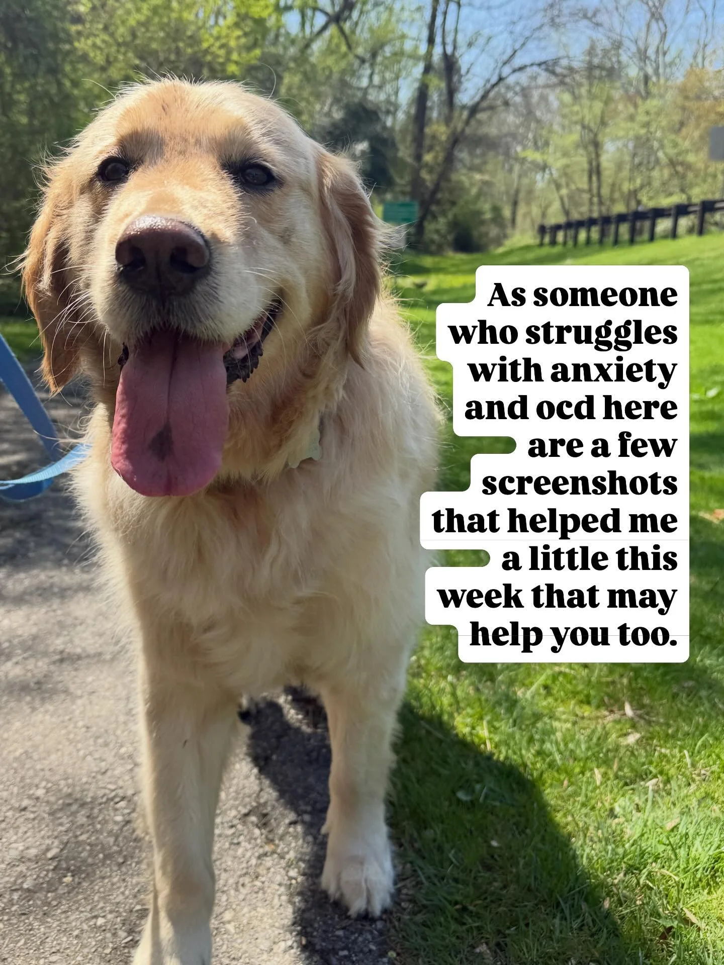 Not every week will be perfect when it comes to your fitness/mental healthy journey but all we can do is continue to show up and give our best. 🩷

#health #mentalhealth #anxiety #hollistichealth #trainer