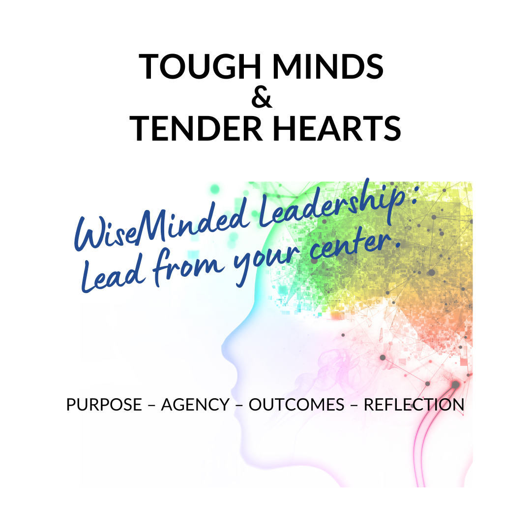 WiseMinded Leadership Program Information Session