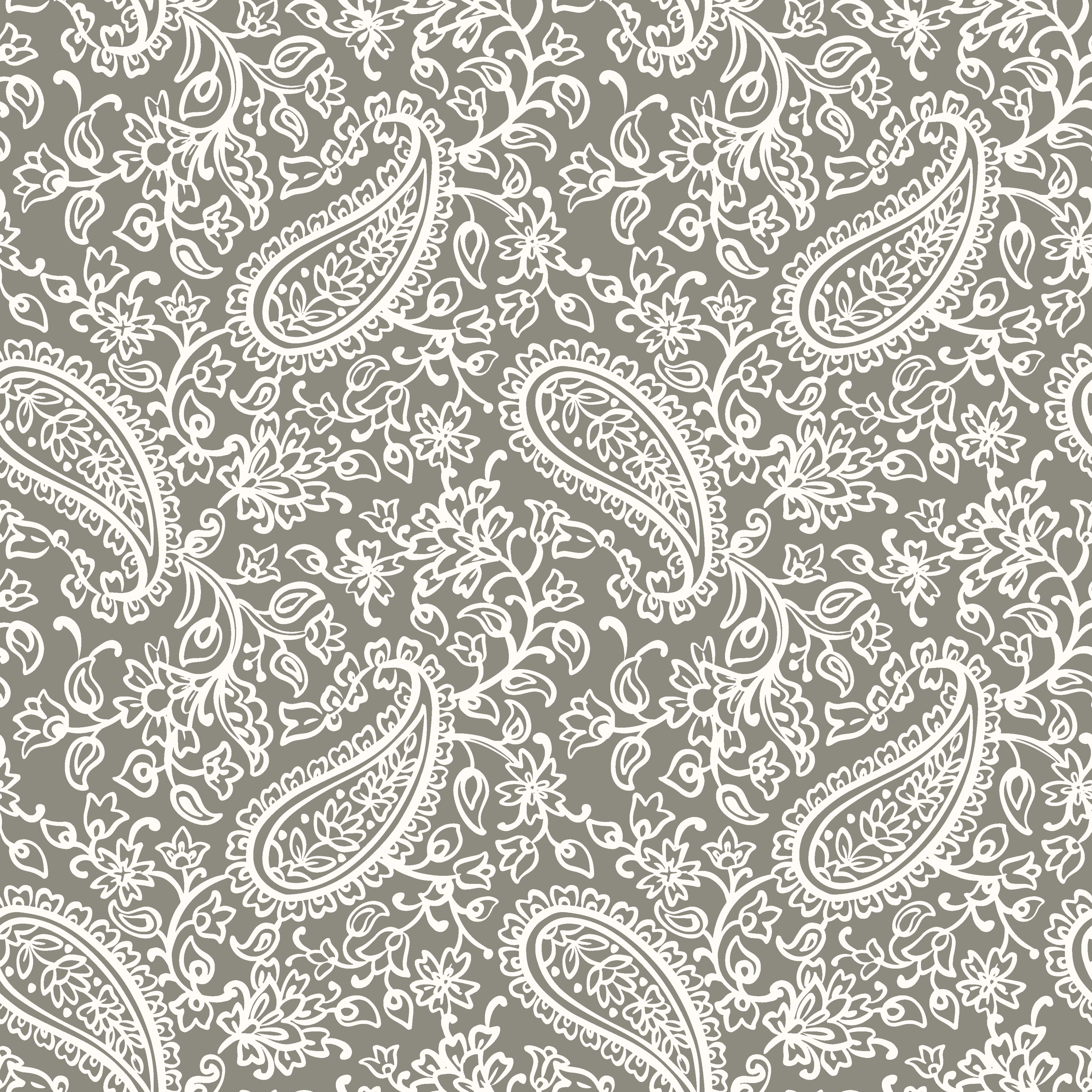 WR-S24-PAISLEY-1.png