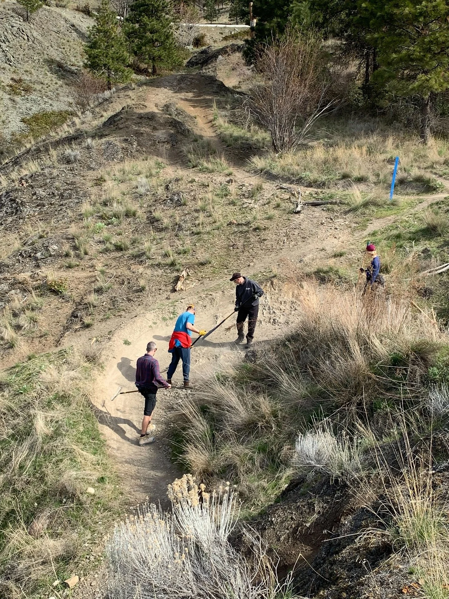 Trail Day is back! 🌲

Join us this Sunday, Nov 2 from 9am-12pm at Knox Mountain for some trail love 💪 No experience needed, we&rsquo;ll bring the tools! Meet at the lower lot by the tennis courts at 9am.

Along with some general maintenance, we&rsq
