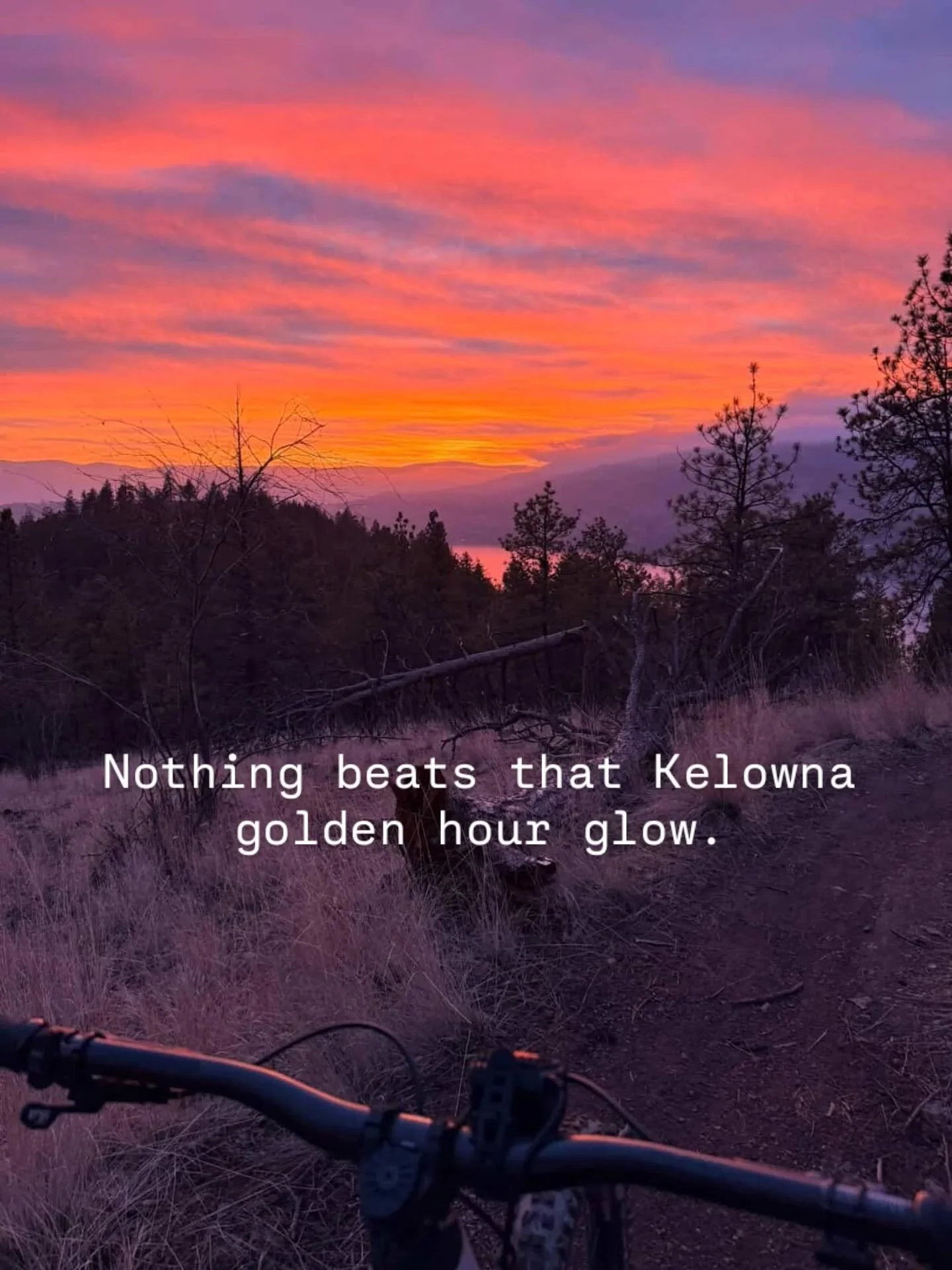 From golden hour glows to the city lights below&mdash;Matt (MTBCO Director) caught the perfect evening lap yesterday. 🌅🚲

​The trails you love don&rsquo;t happen by accident. Every sunset ride and every new berm is fueled by your support.

​👉 Love