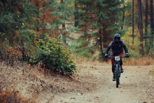 December 2025 Newsletter