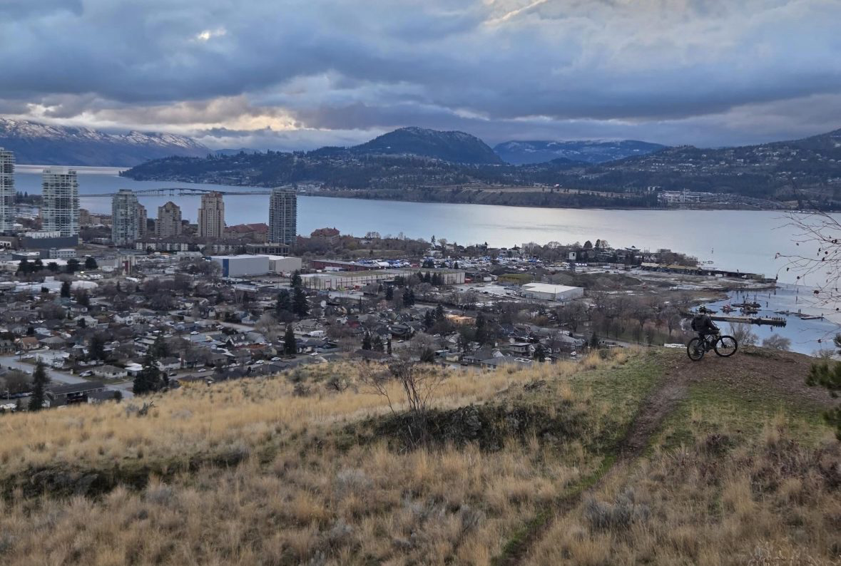 January 2026 Newsletter