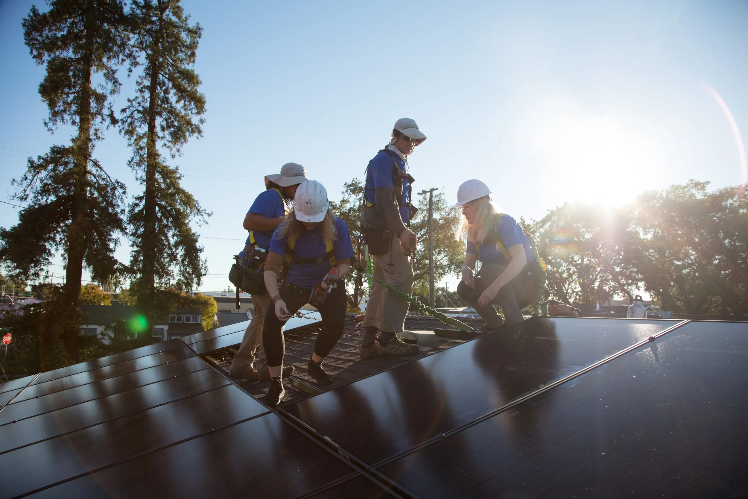 Group of people working on solar