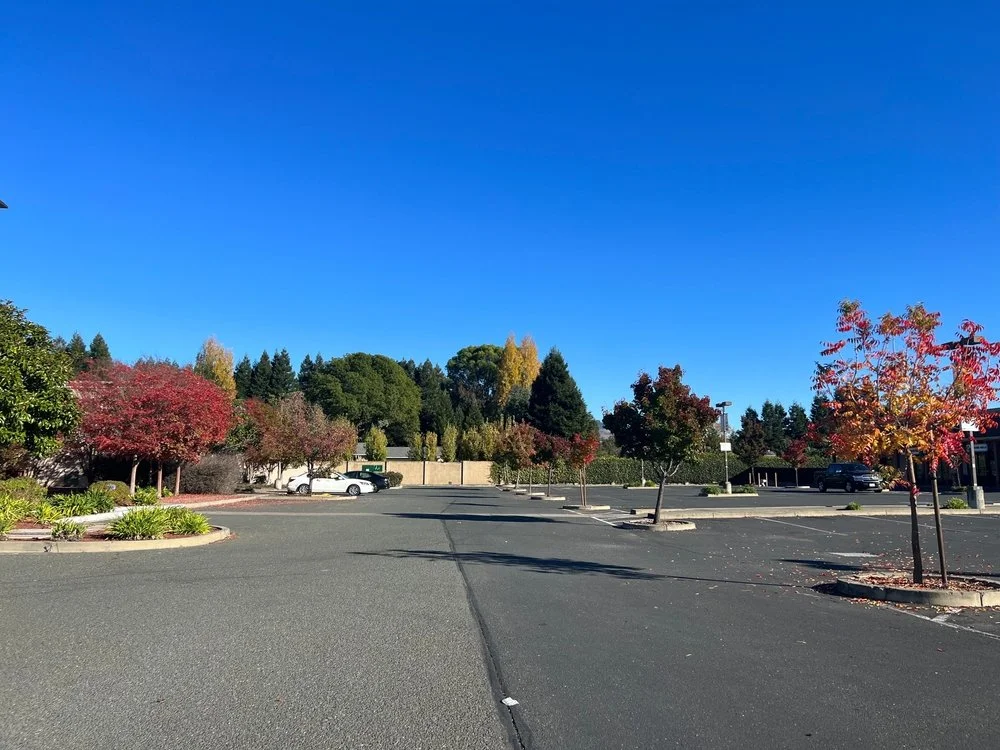 Solar Panel Installers in Rohnert Park, CA