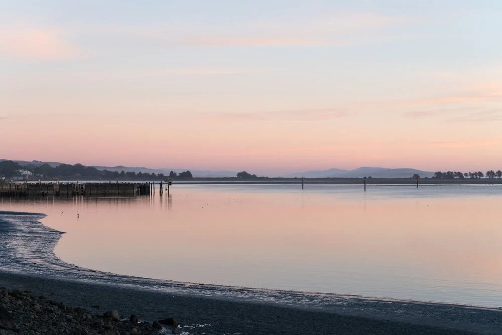 Energy Security for the Coast: Premium Solar for Bodega Bay