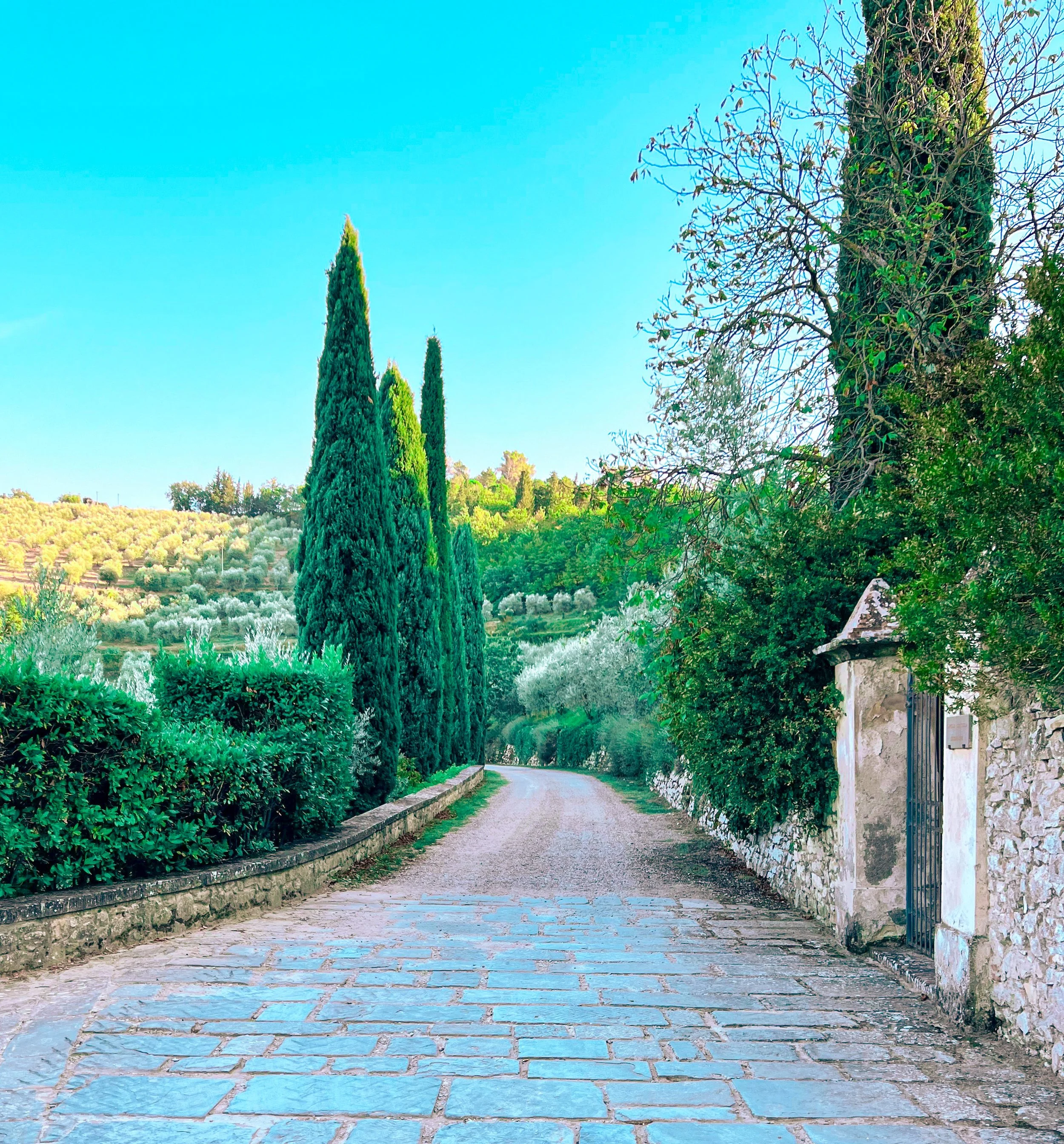Best of Italy: Umbria, Tuscany & the Cinque Terre Fall 2025