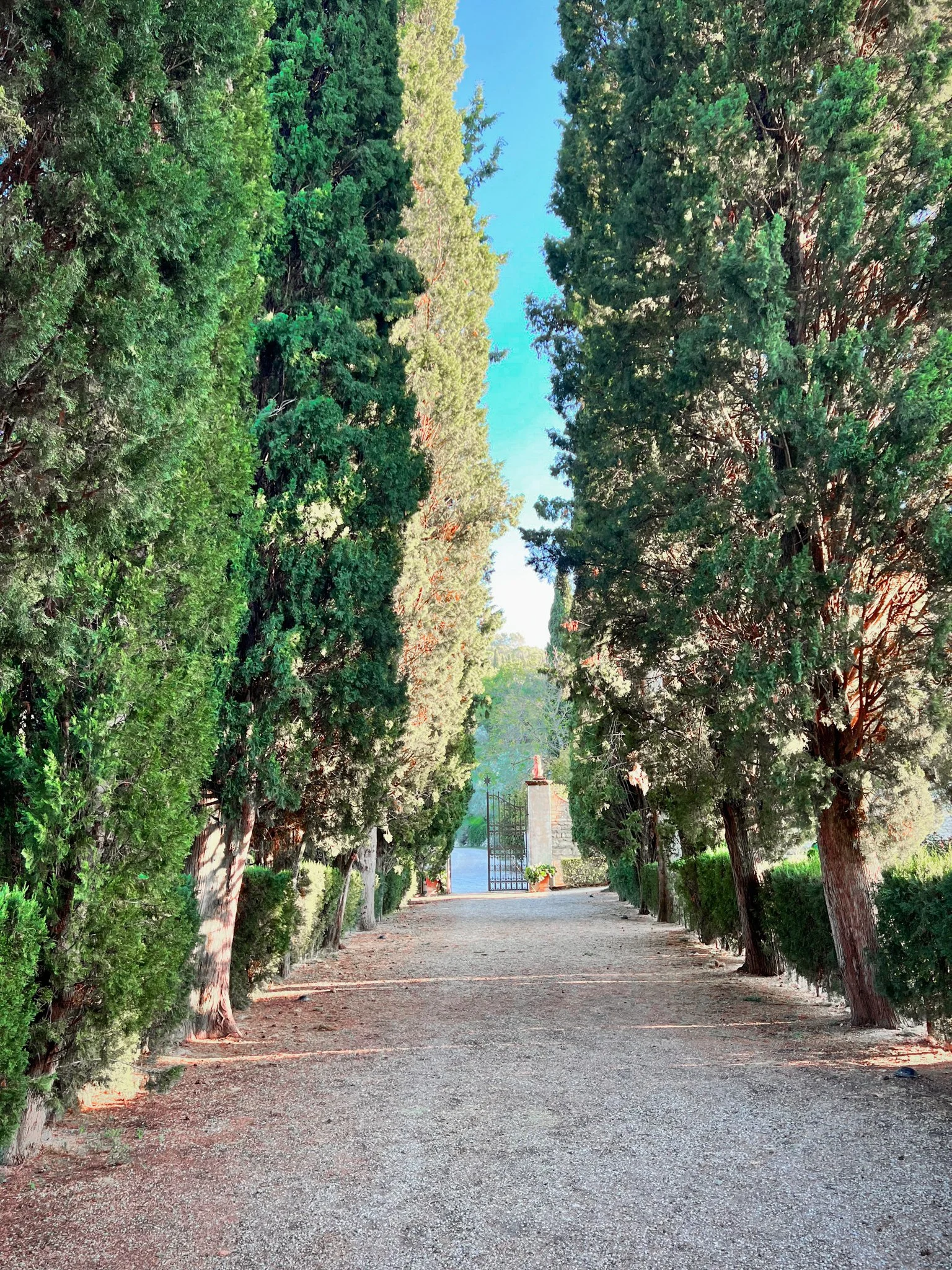 Best of Italy60.jpg