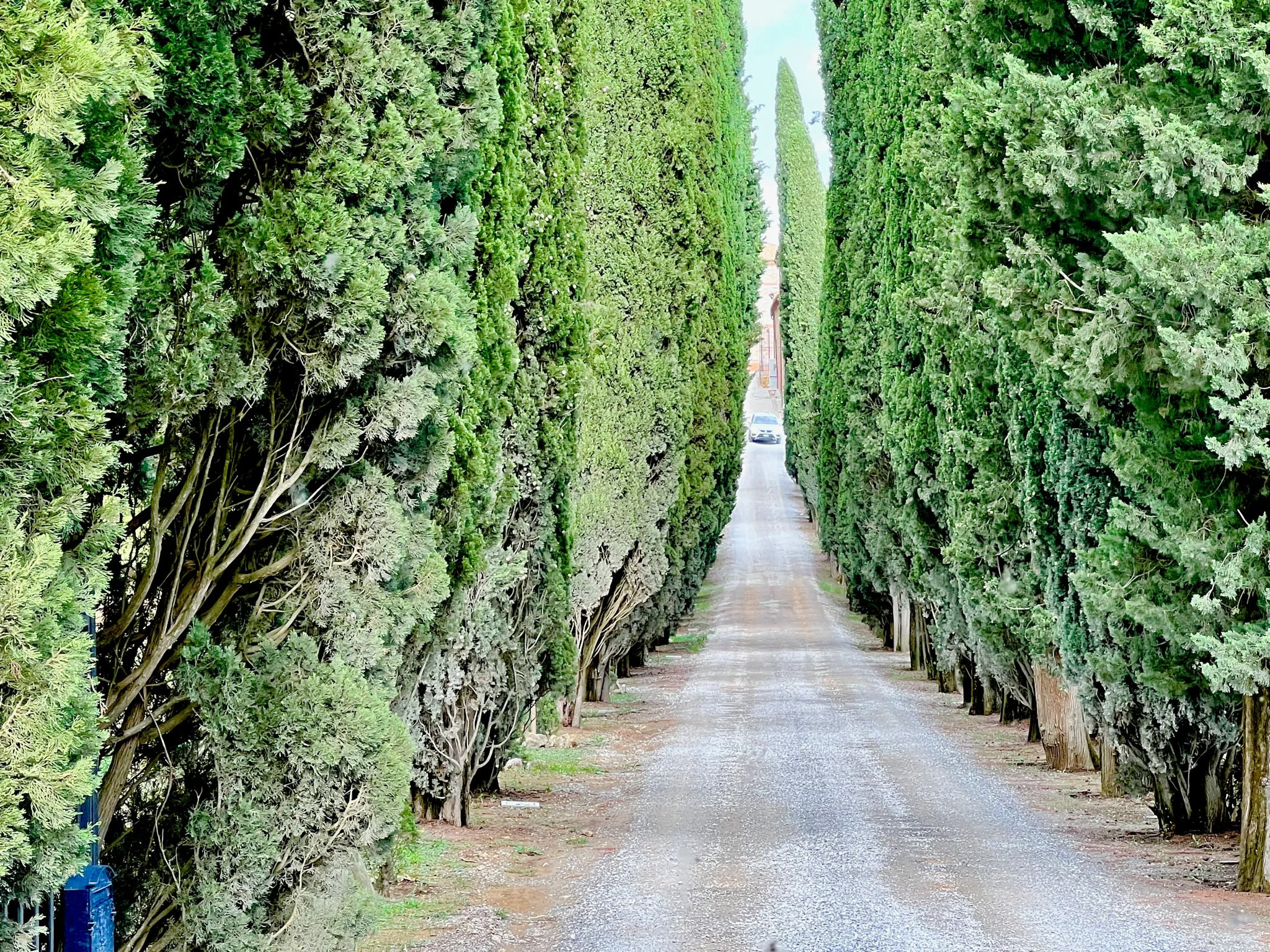 Best of Italy209.jpg