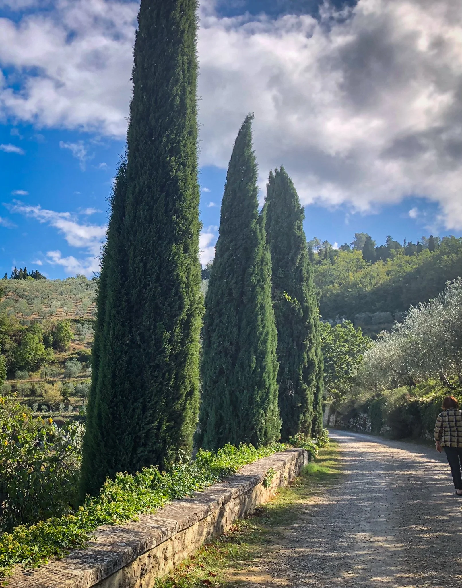 Best of Italy260.jpg