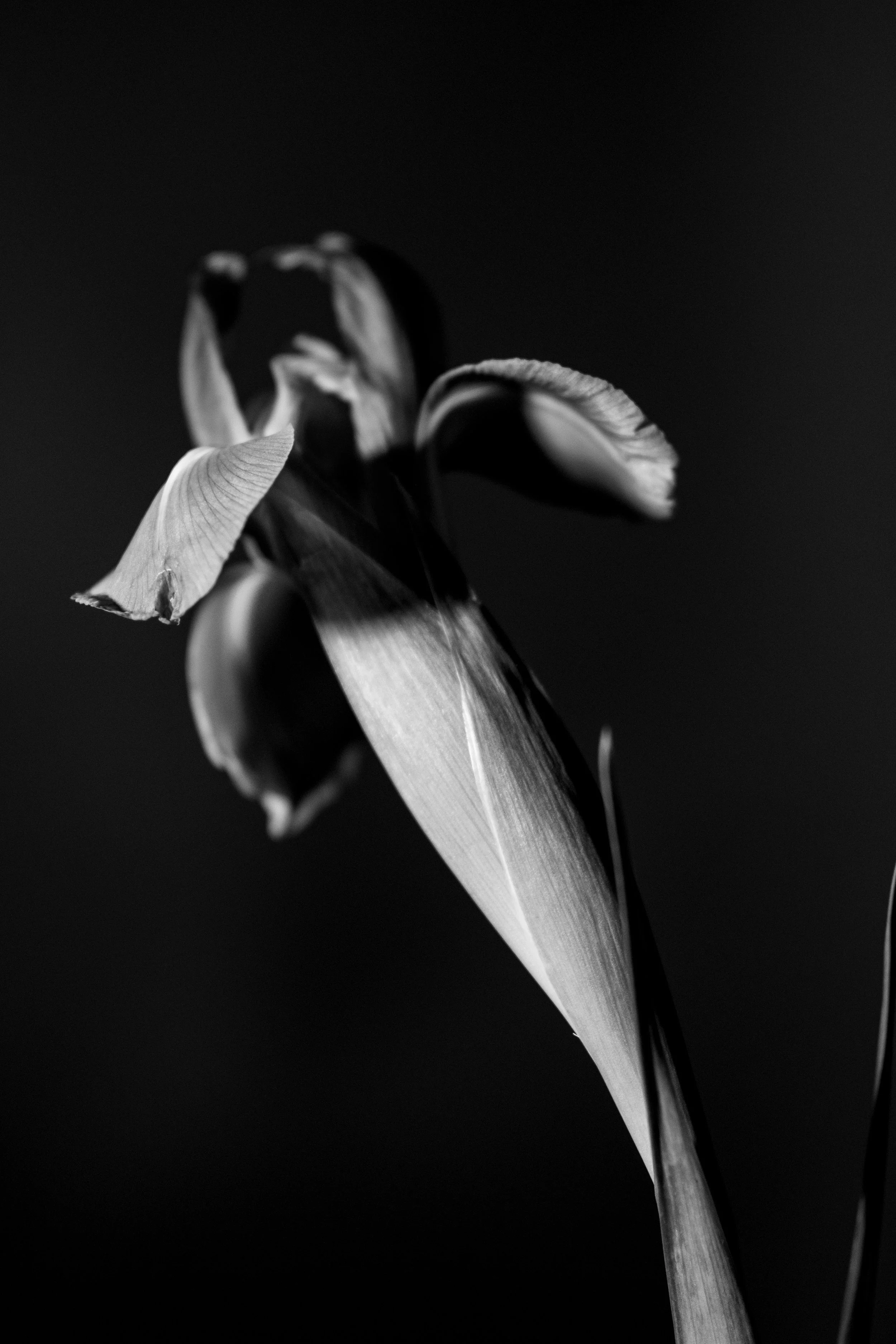 1_DSC_0838.jpg