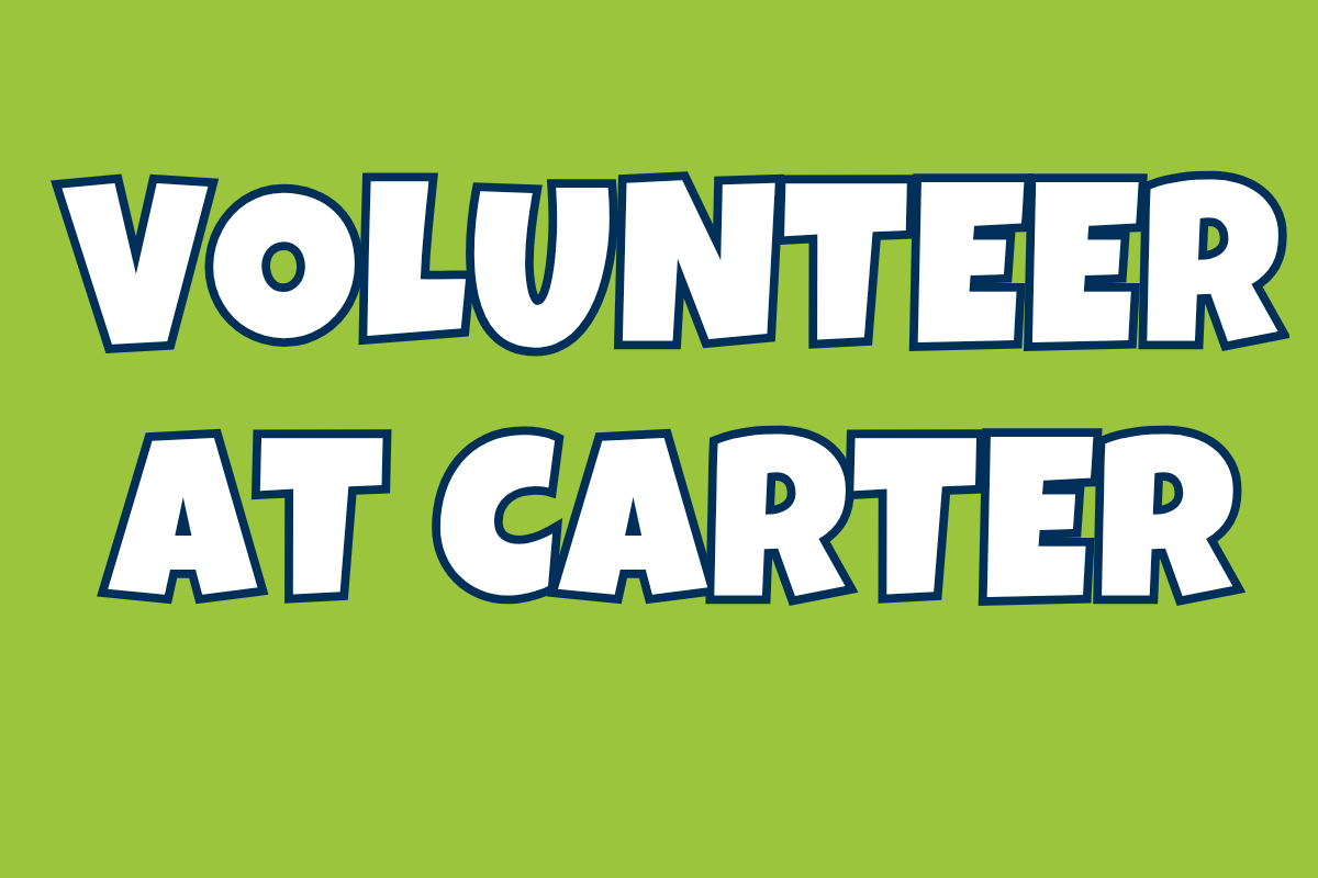 Volunteer at Carter