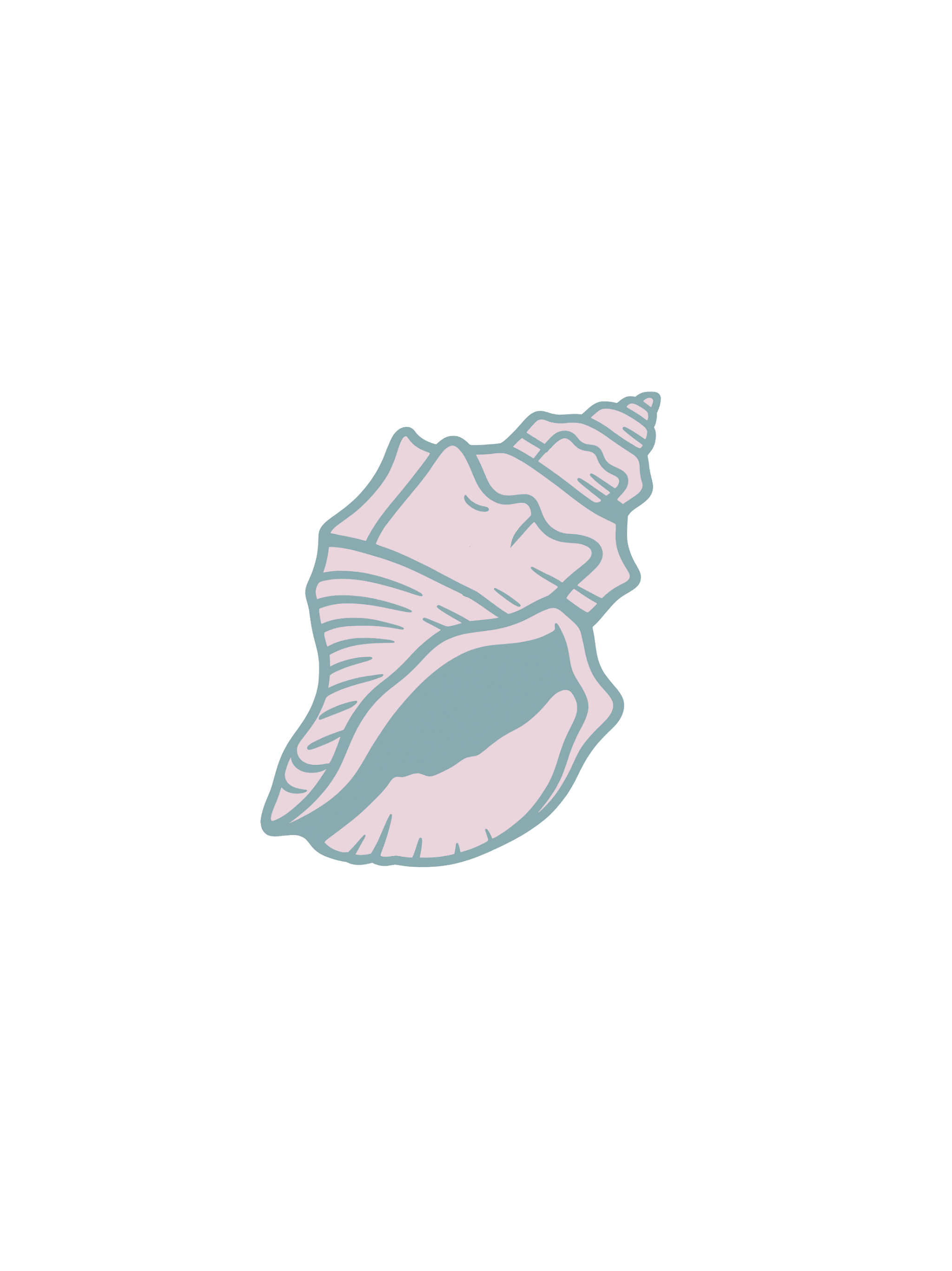 Illustration of a large seashell with a spiral shape, including ridges and an opening.