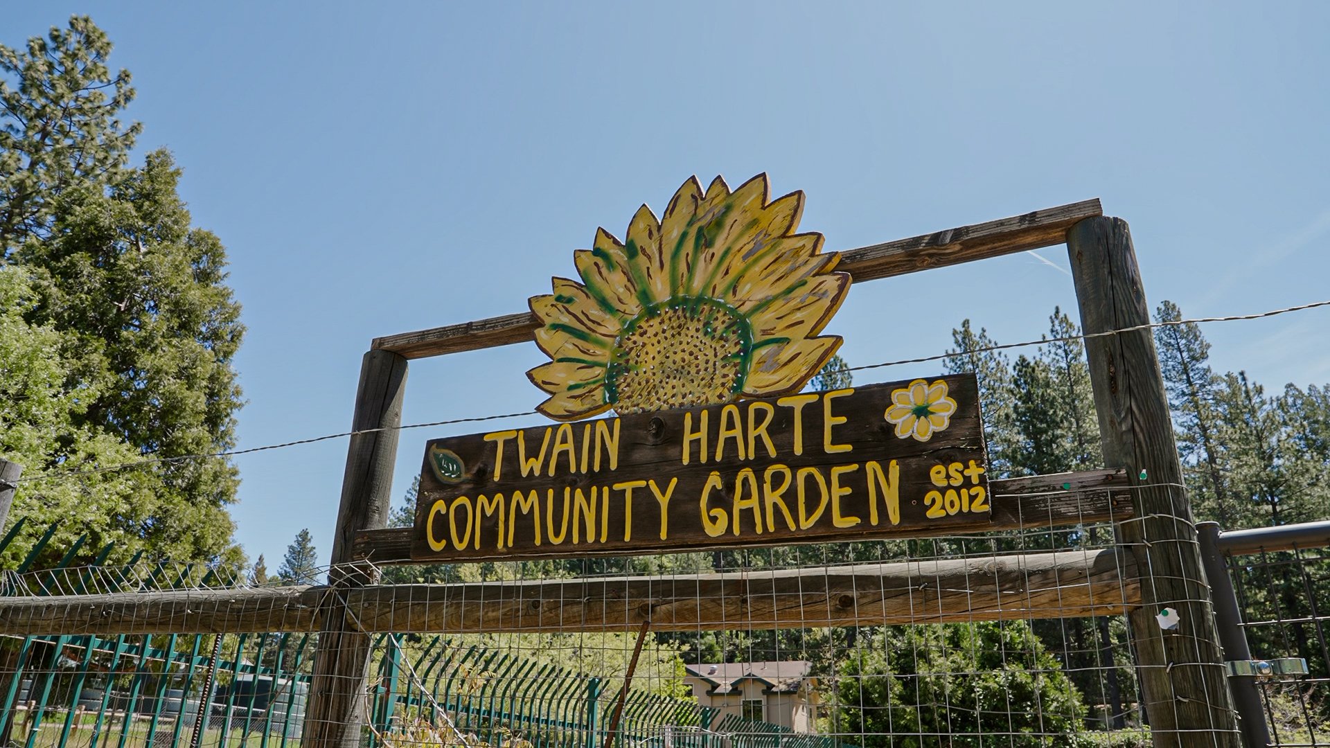 garden2-42.jpg
