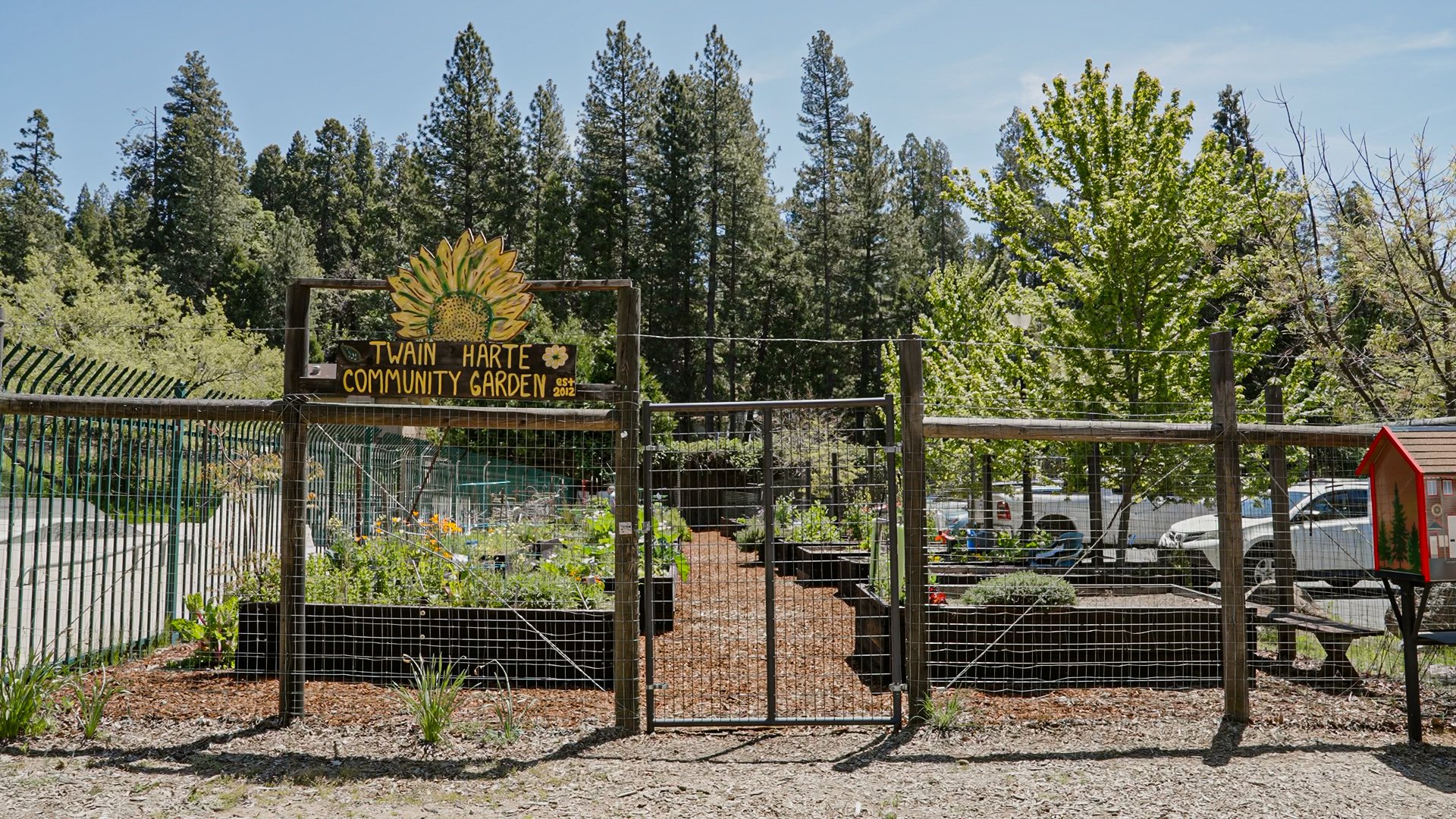 garden-41.jpg