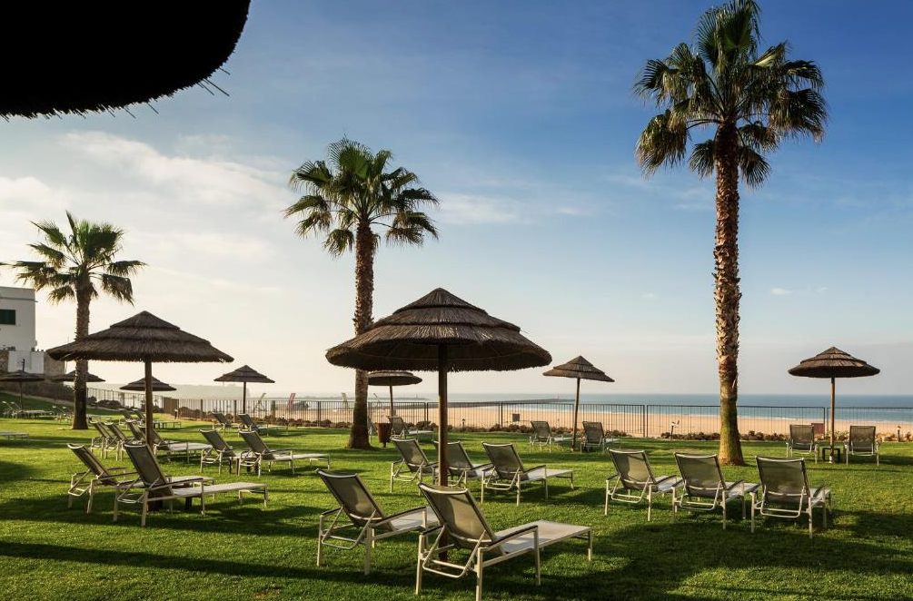 Sun loungers and straw umbrellas on a grassy lawn with palm trees overlooking the beach and ocean under a partly cloudy sky.