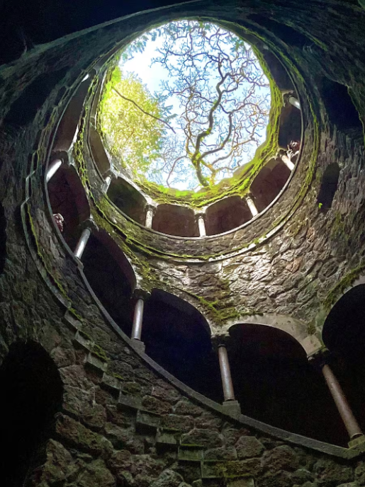 View of a circular stone well or tower from the bottom looking up, with a tree and sky visible at the top through an open roof.
