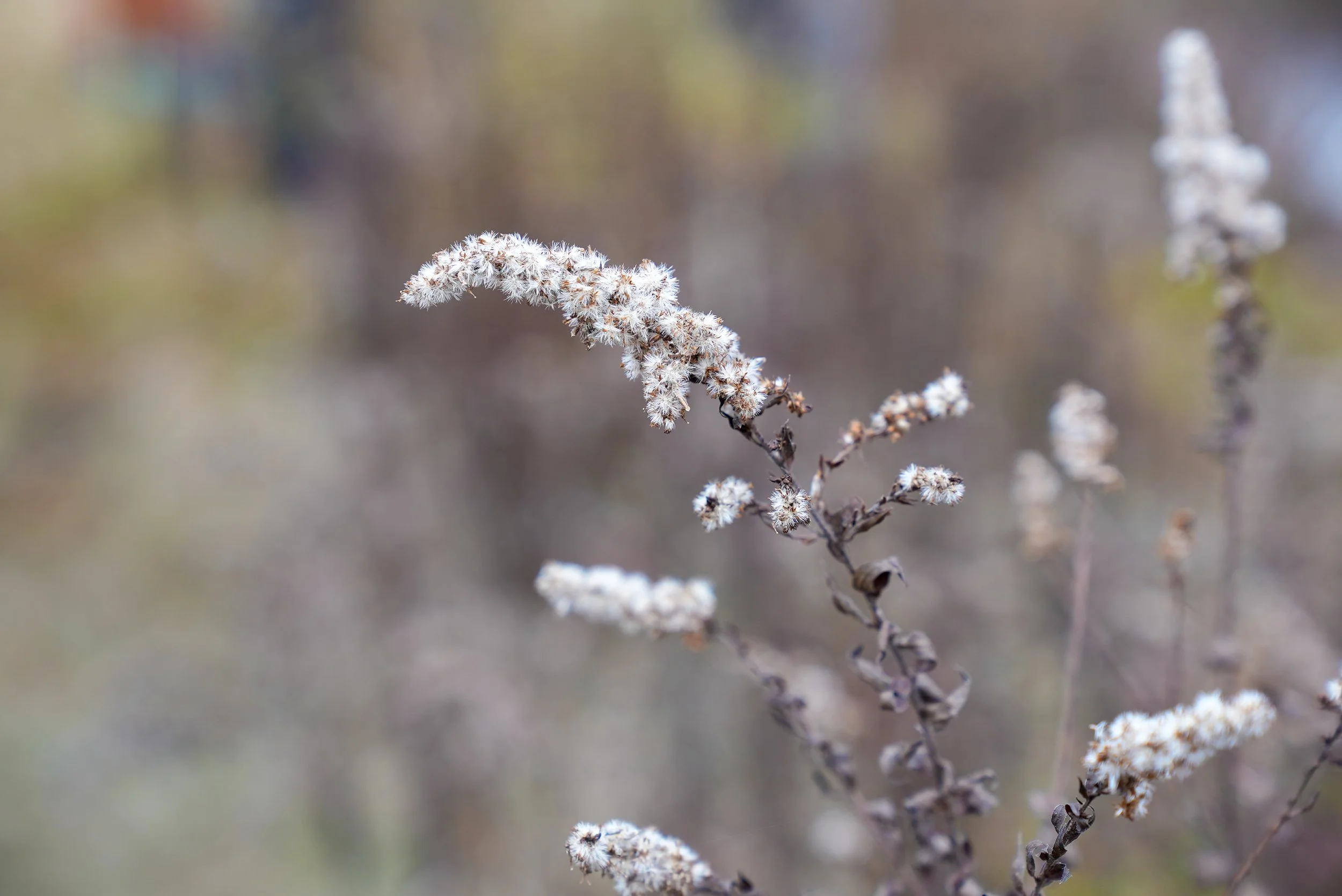 Catskills Outing-16.jpg