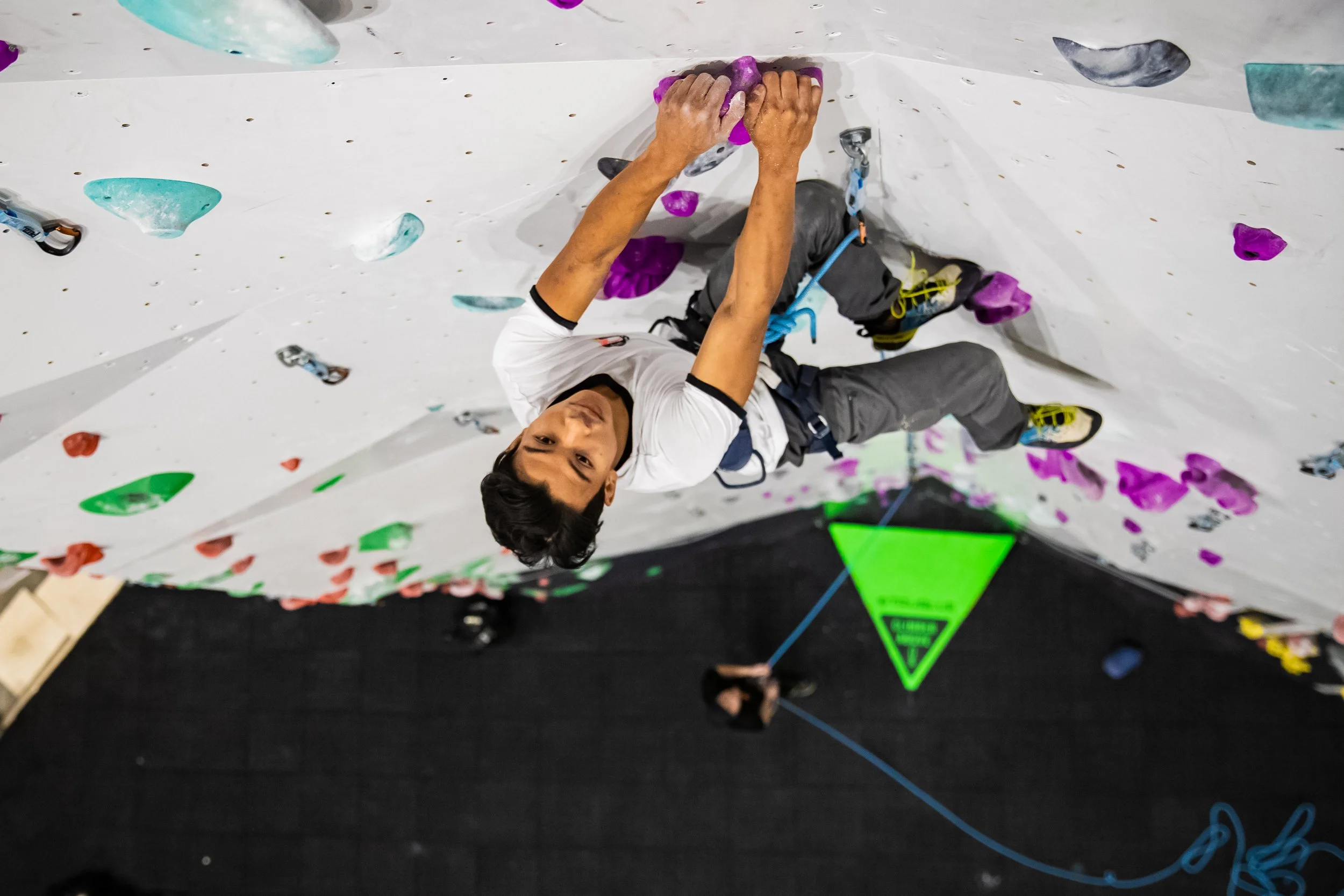 The Wild South Lands