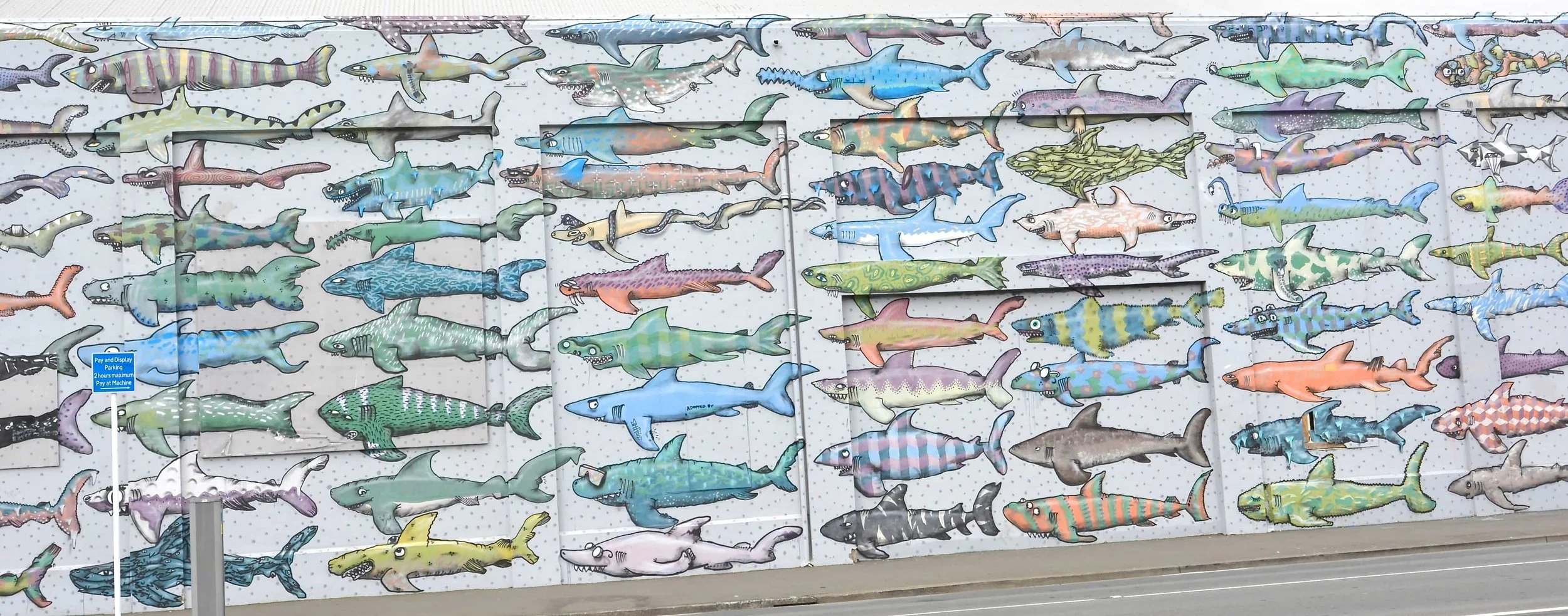 Shark Wll Wellington .jpg