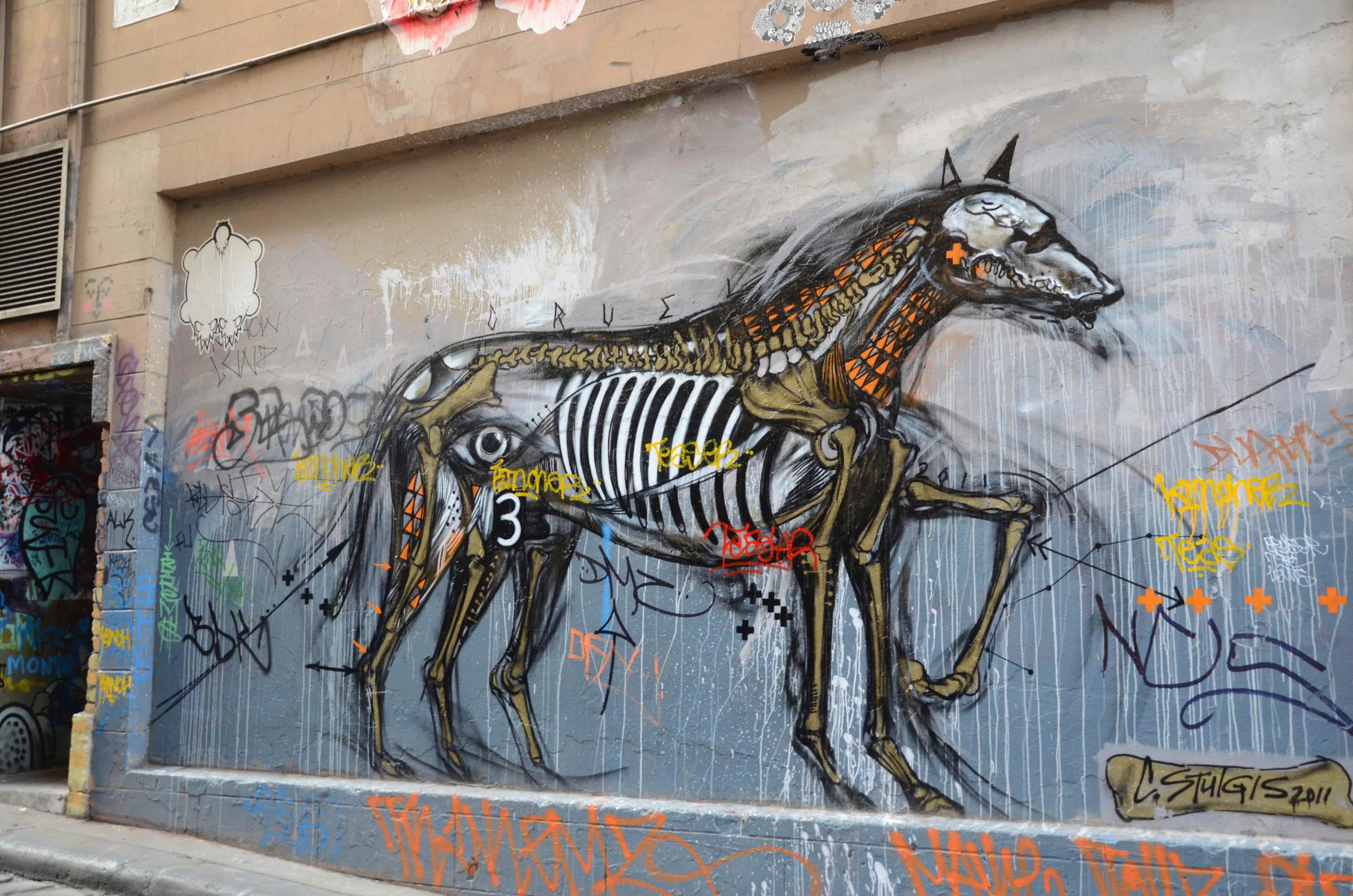 Horse.jpg