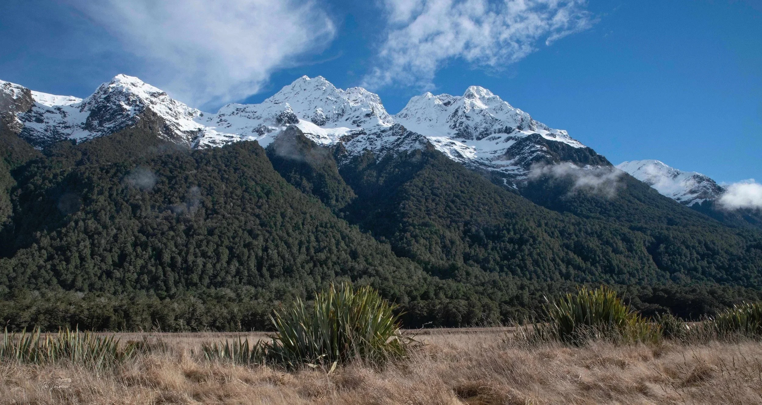 Eglington Valley  Fiordland Nation Part 
